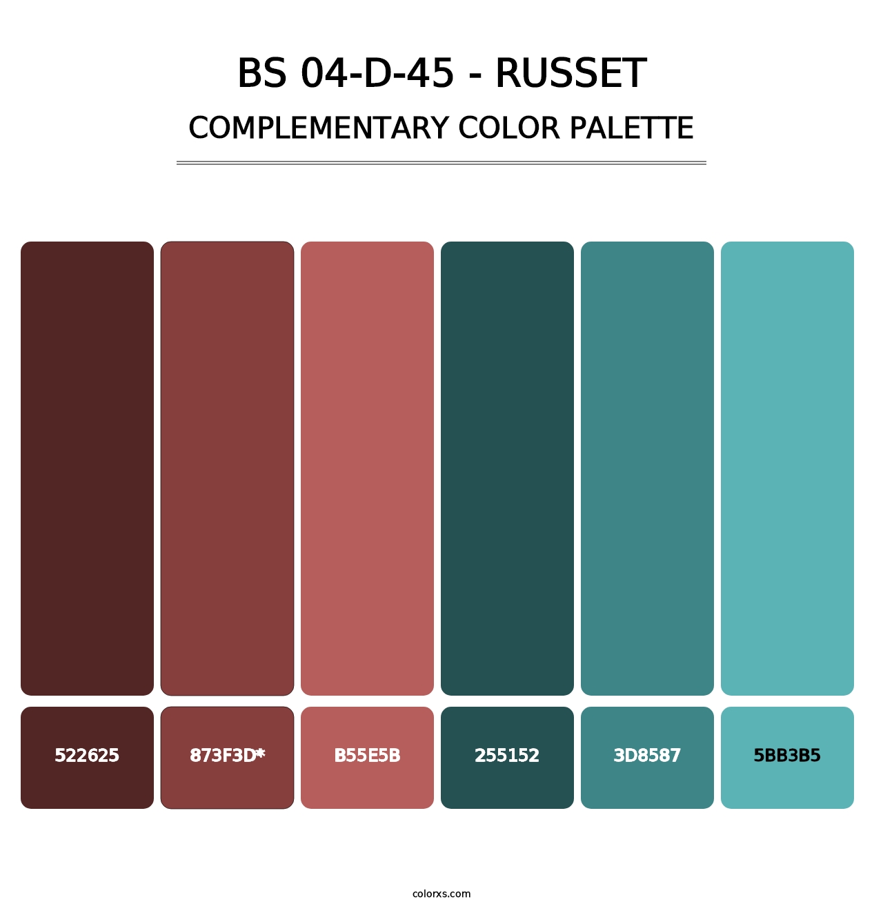 BS 04-D-45 - Russet - Complementary Color Palette