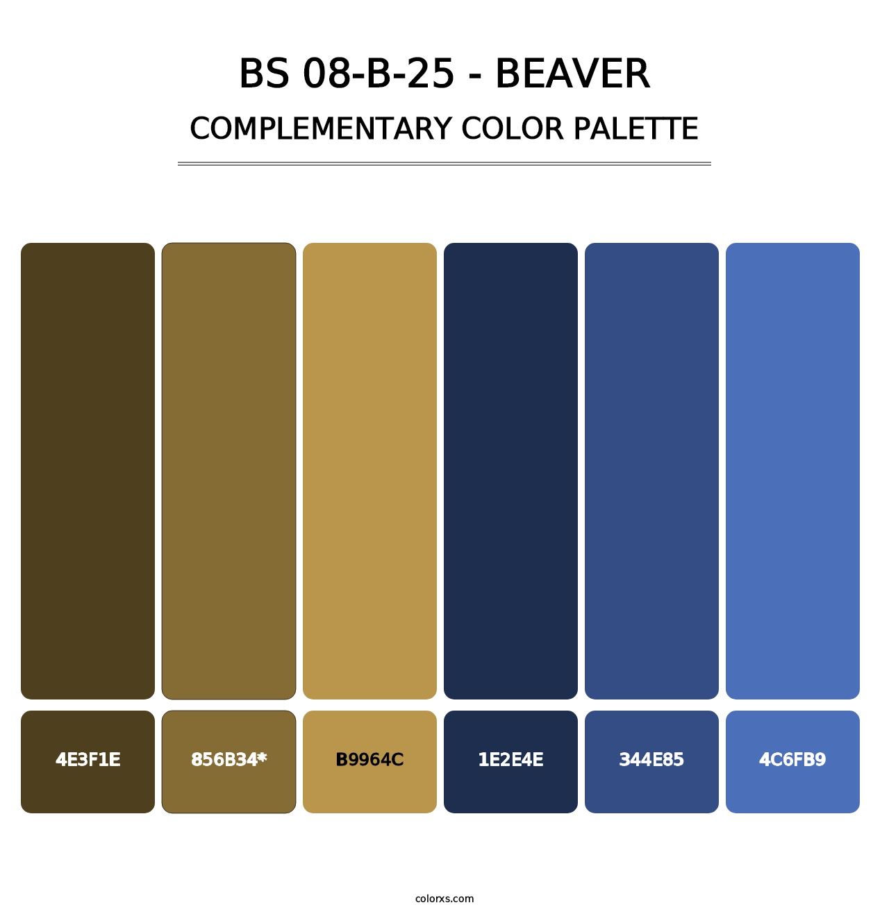 BS 08-B-25 - Beaver - Complementary Color Palette