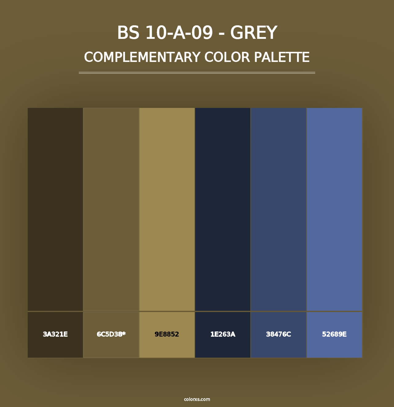 BS 10-A-09 - Grey - Complementary Color Palette