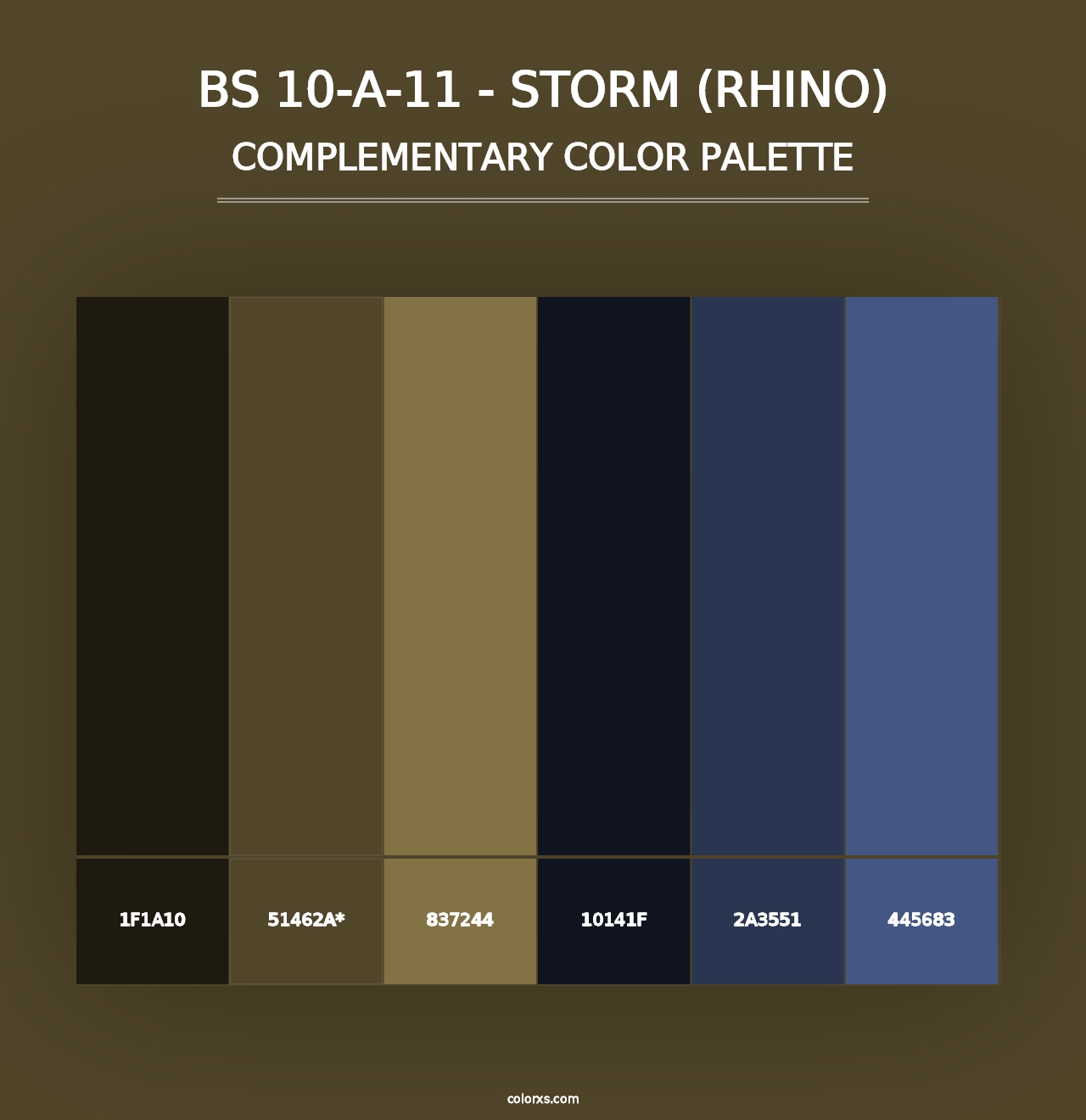 BS 10-A-11 - Storm (Rhino) - Complementary Color Palette