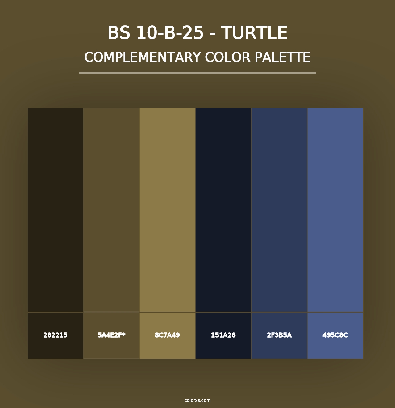 BS 10-B-25 - Turtle - Complementary Color Palette