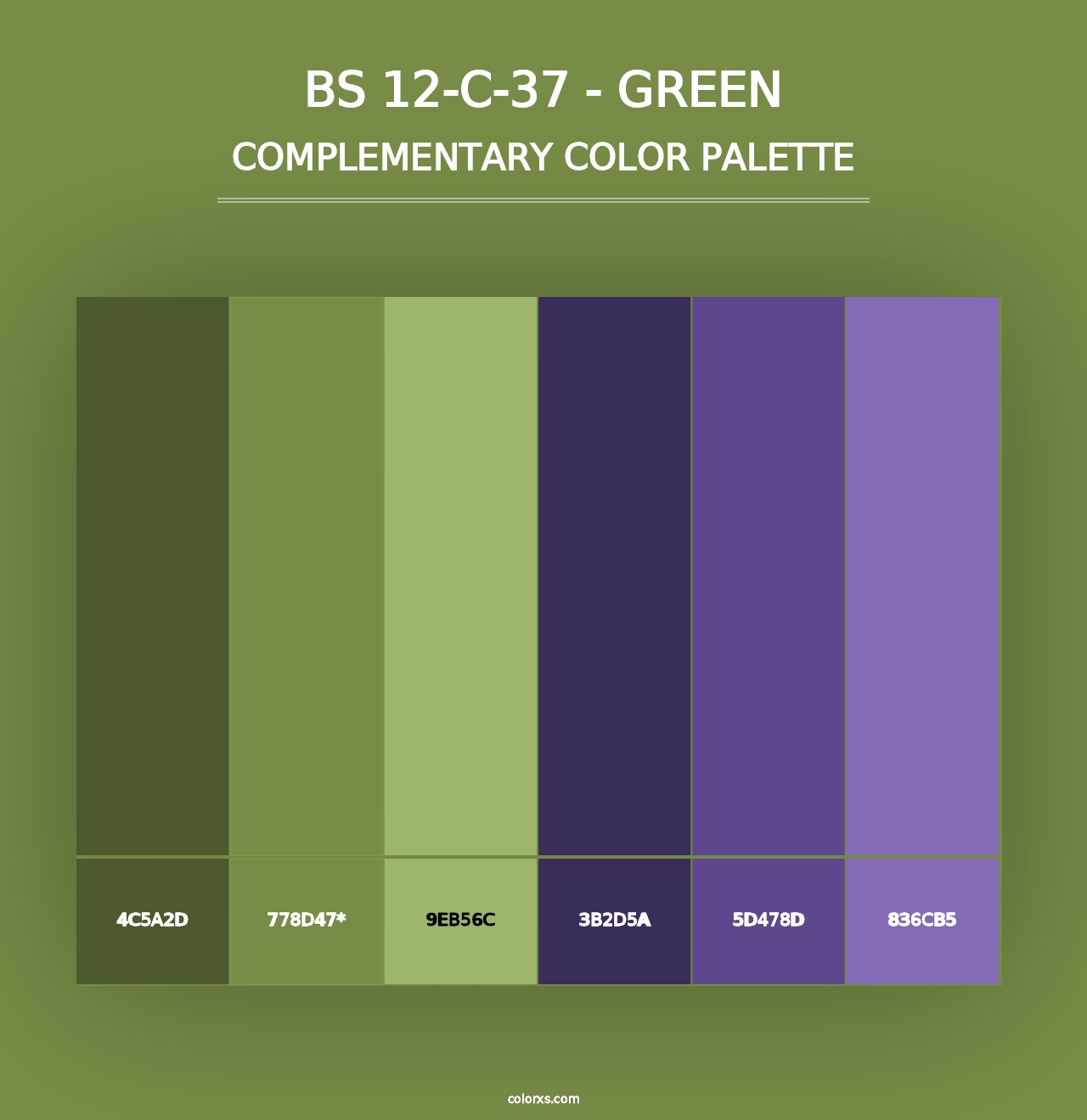 BS 12-C-37 - Green - Complementary Color Palette