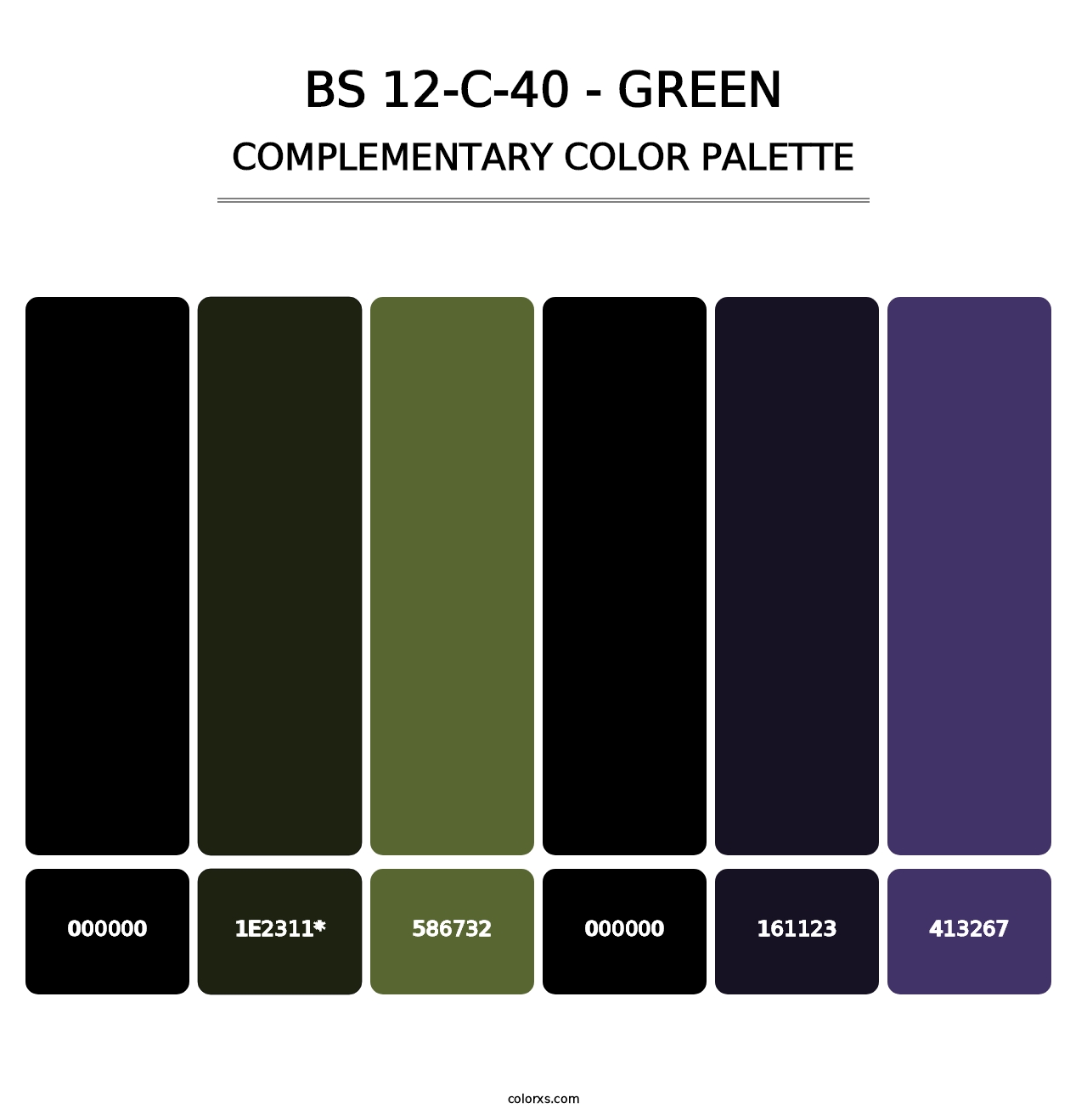 BS 12-C-40 - Green - Complementary Color Palette