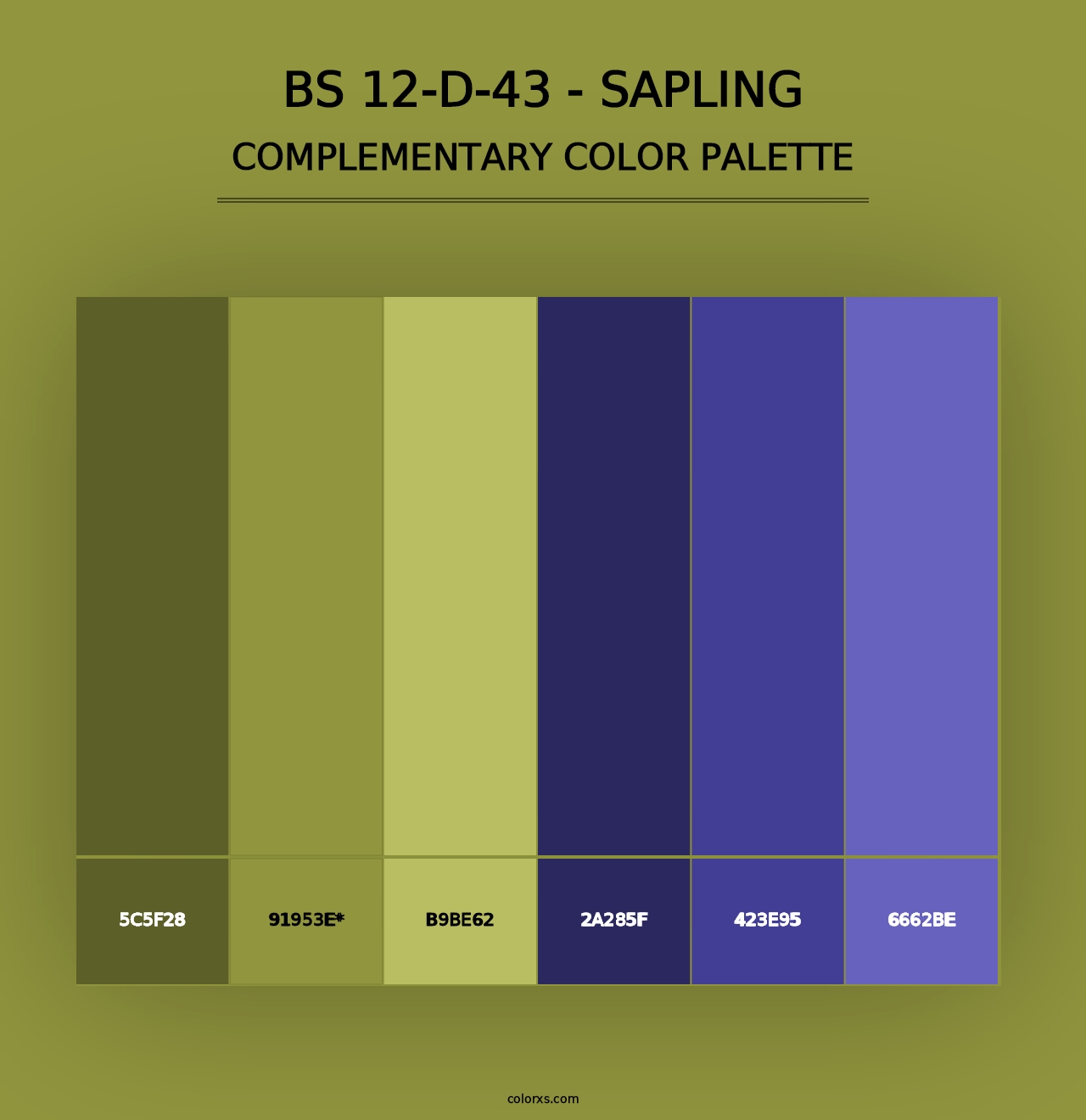 BS 12-D-43 - Sapling - Complementary Color Palette