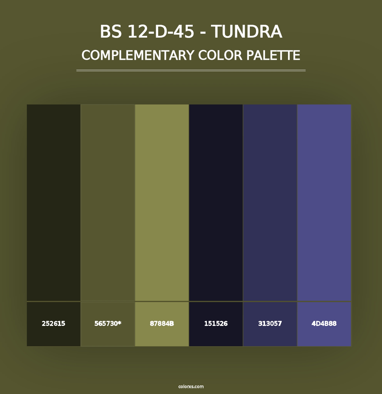 BS 12-D-45 - Tundra - Complementary Color Palette