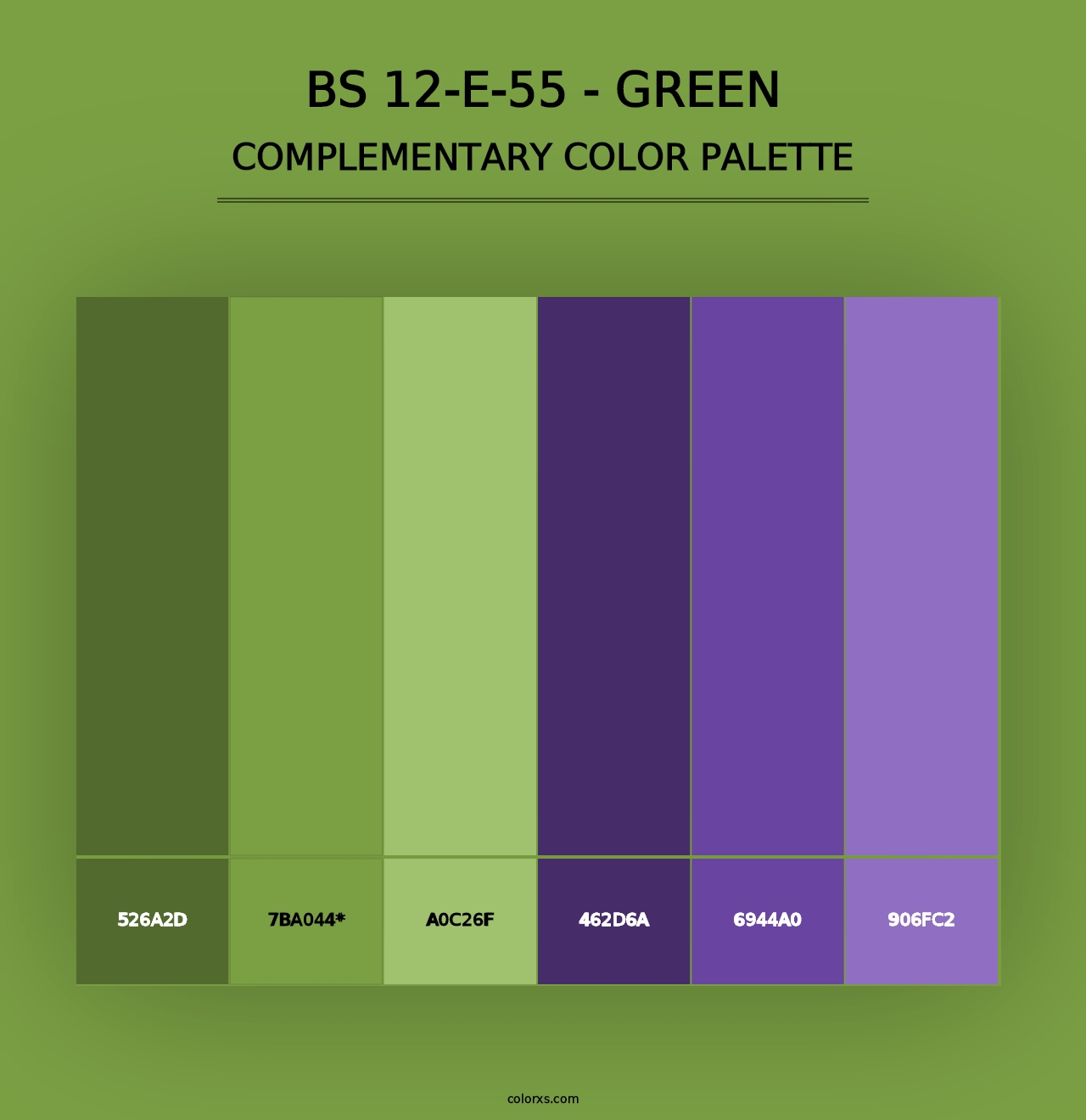 BS 12-E-55 - Green - Complementary Color Palette