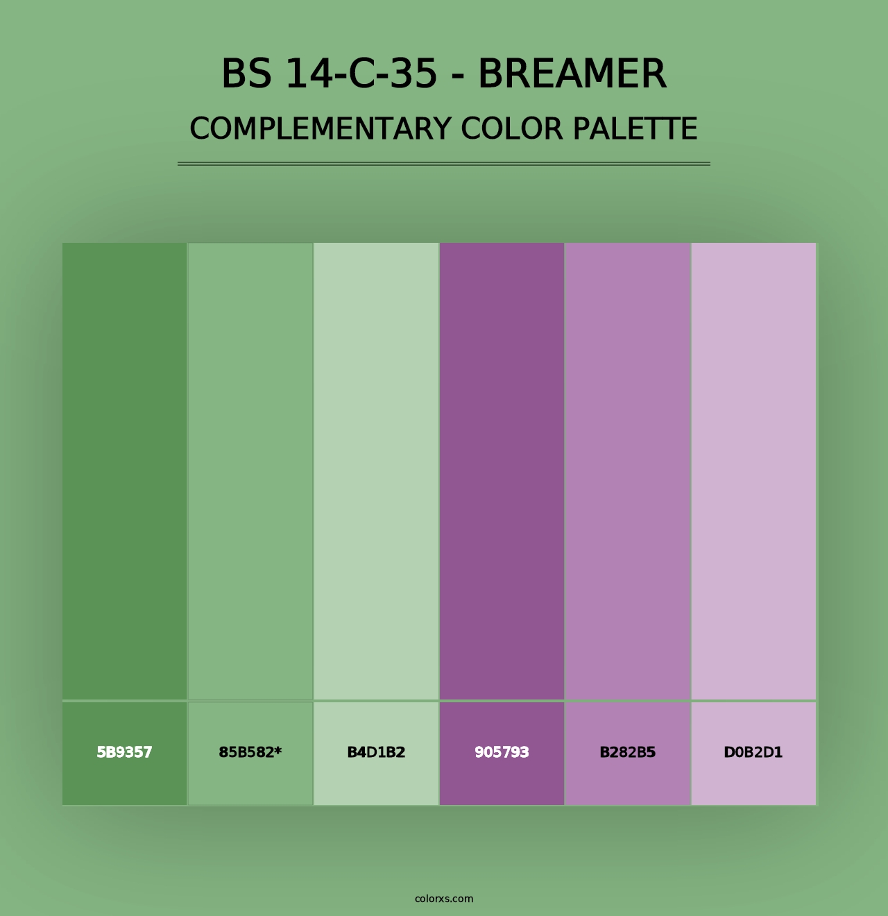 BS 14-C-35 - Breamer - Complementary Color Palette