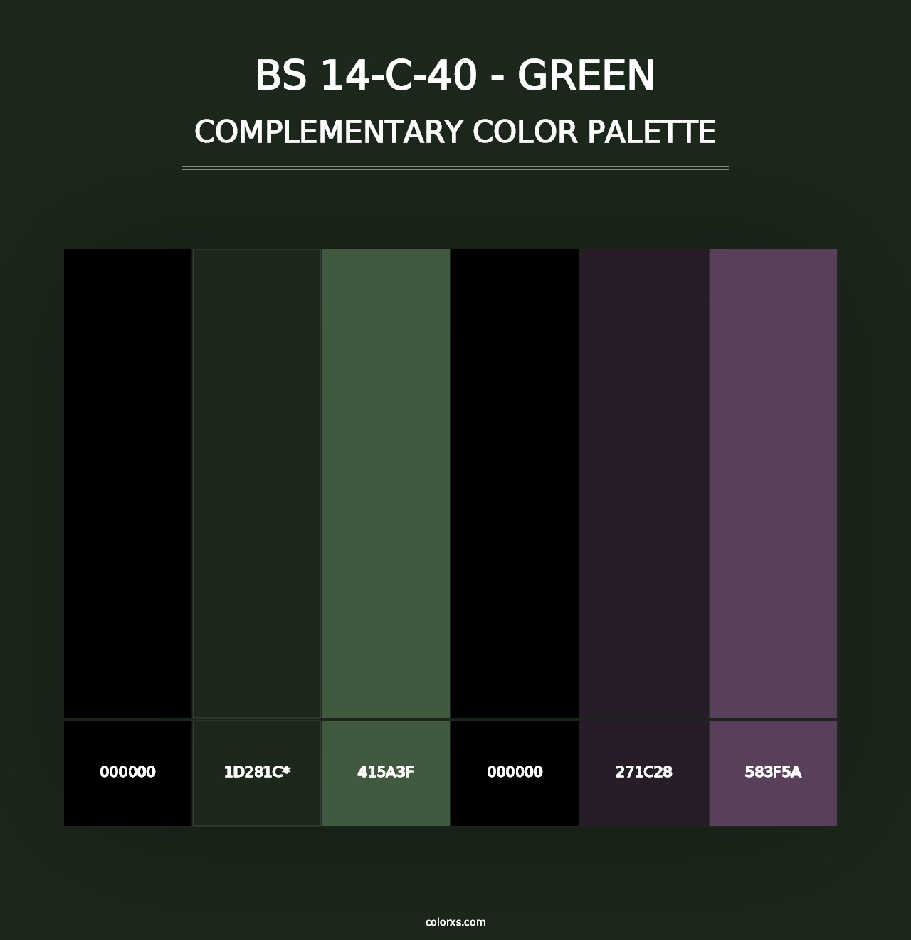 BS 14-C-40 - Green - Complementary Color Palette