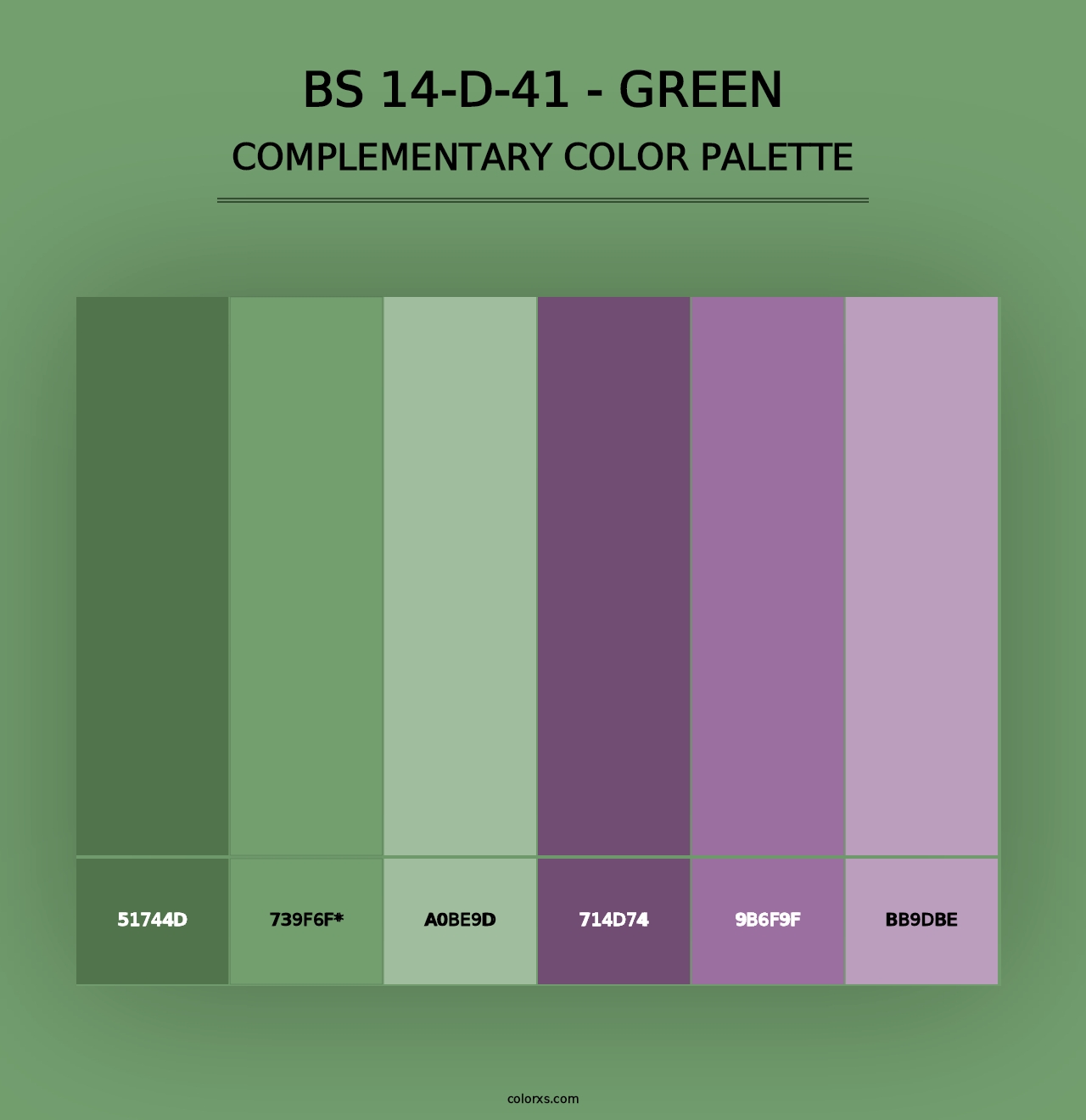 BS 14-D-41 - Green - Complementary Color Palette