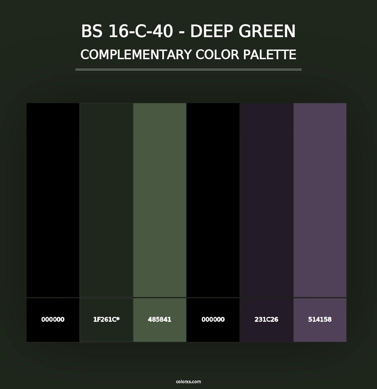 BS 16-C-40 - Deep Green - Complementary Color Palette