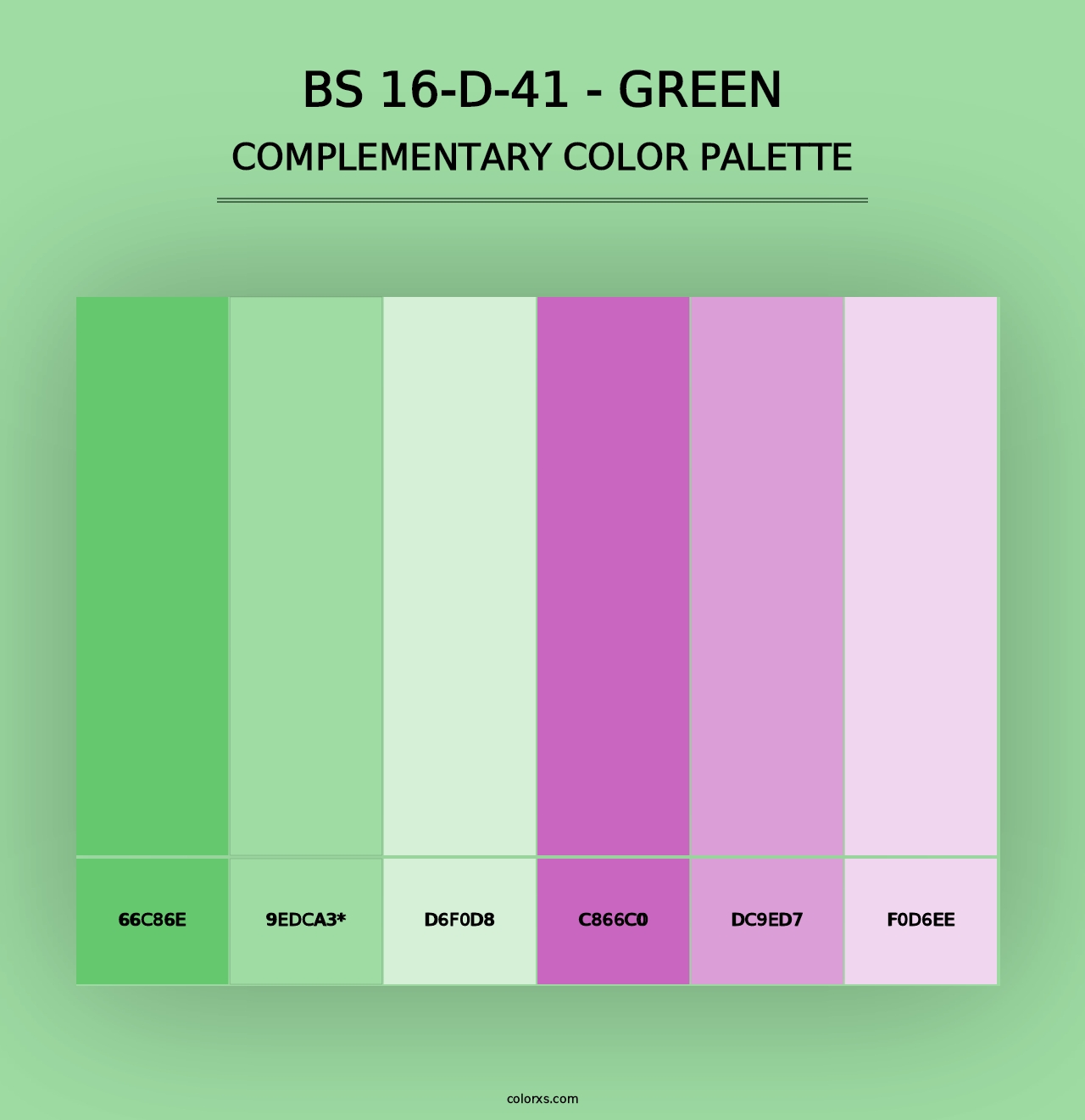 BS 16-D-41 - Green - Complementary Color Palette