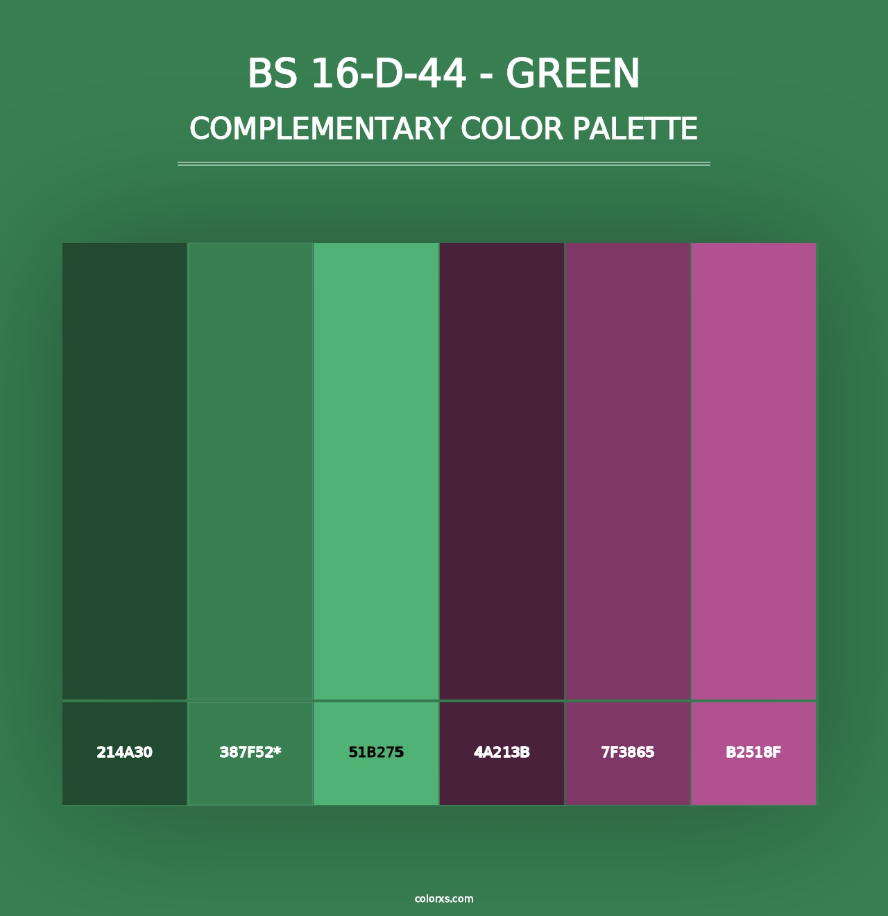 BS 16-D-44 - Green - Complementary Color Palette