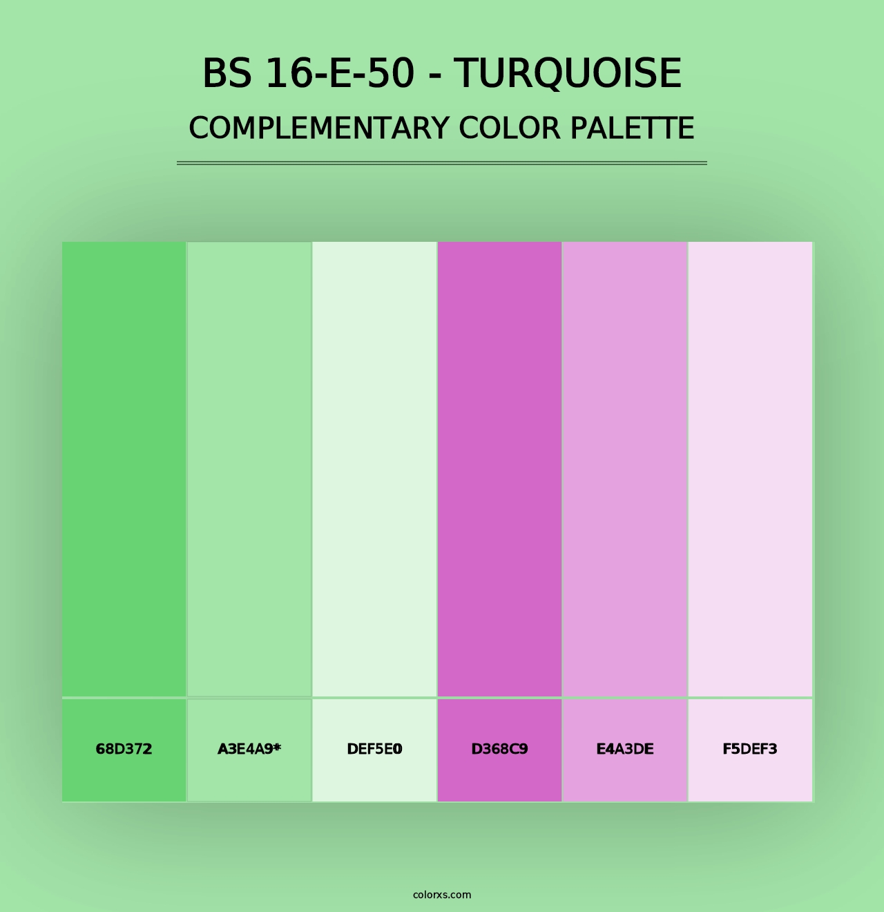 BS 16-E-50 - Turquoise - Complementary Color Palette