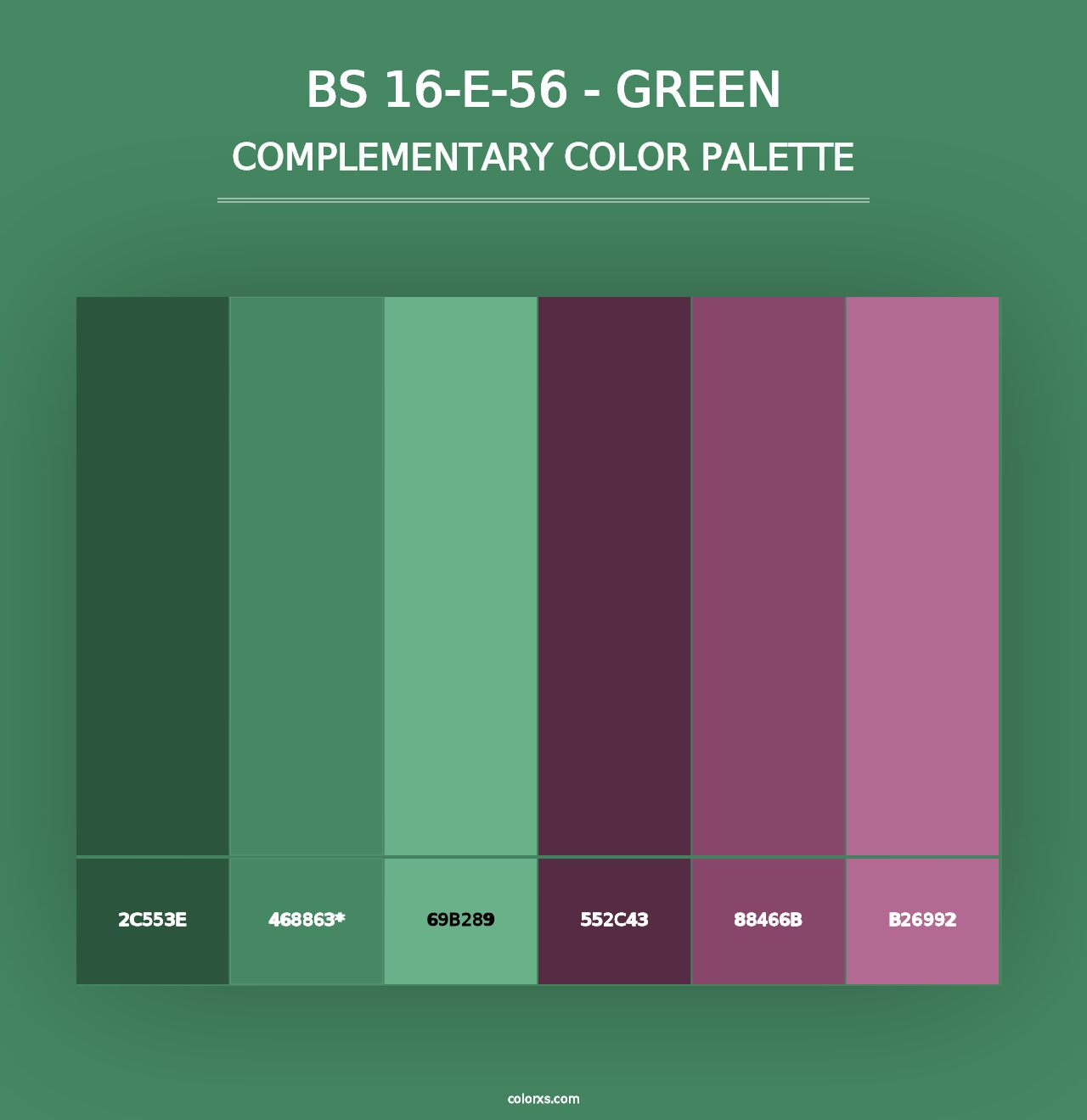 BS 16-E-56 - Green - Complementary Color Palette