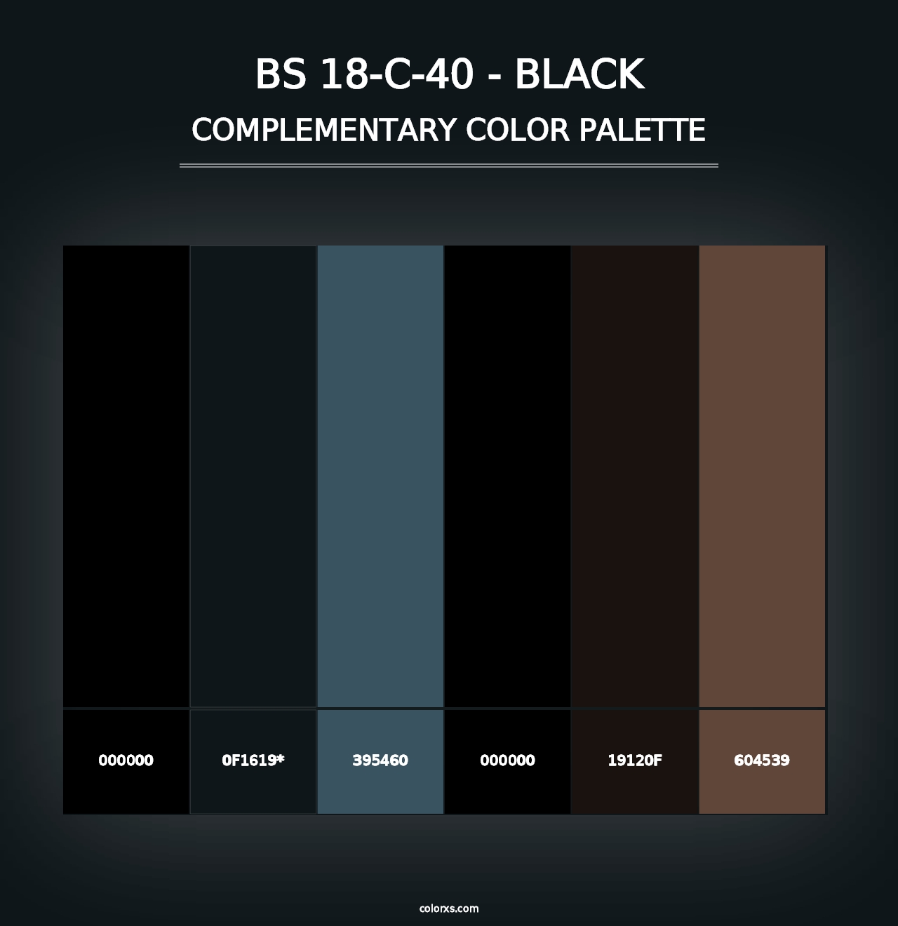 BS 18-C-40 - Black - Complementary Color Palette