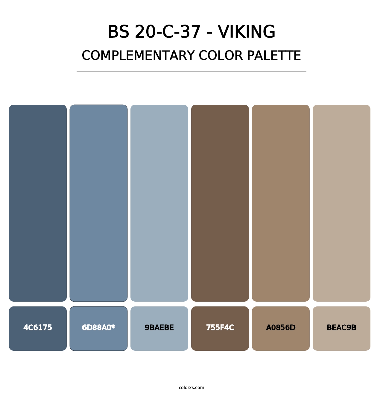 BS 20-C-37 - Viking - Complementary Color Palette