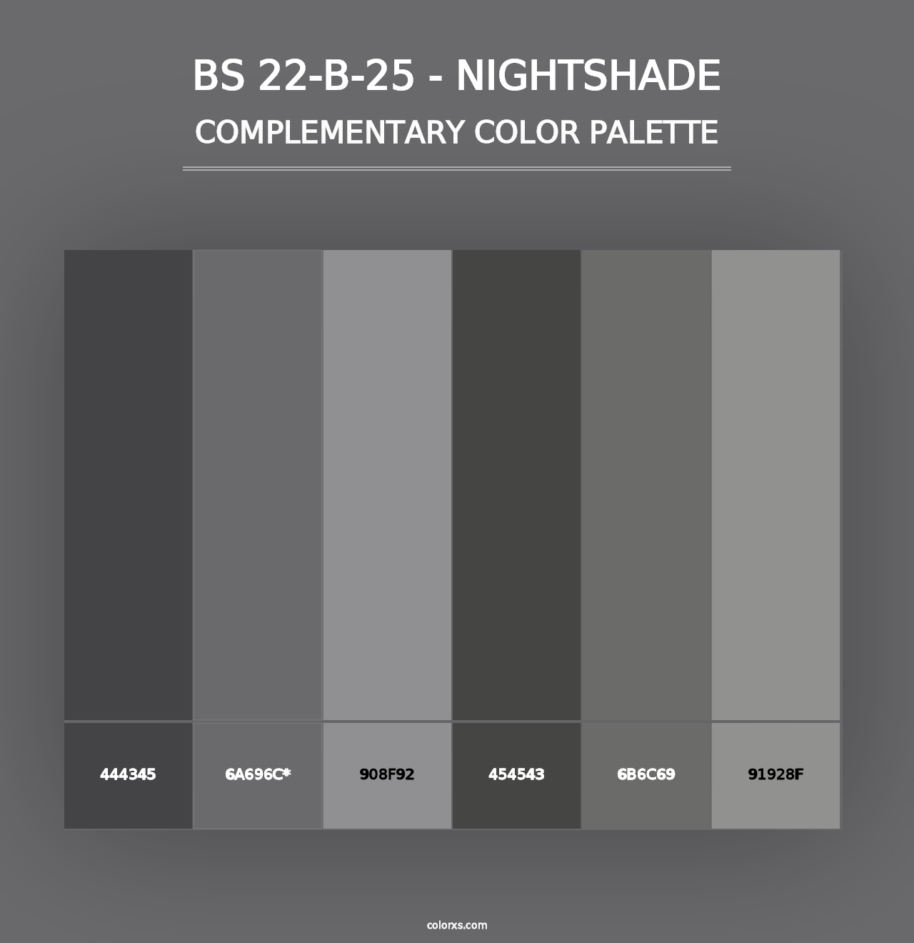 BS 22-B-25 - Nightshade - Complementary Color Palette