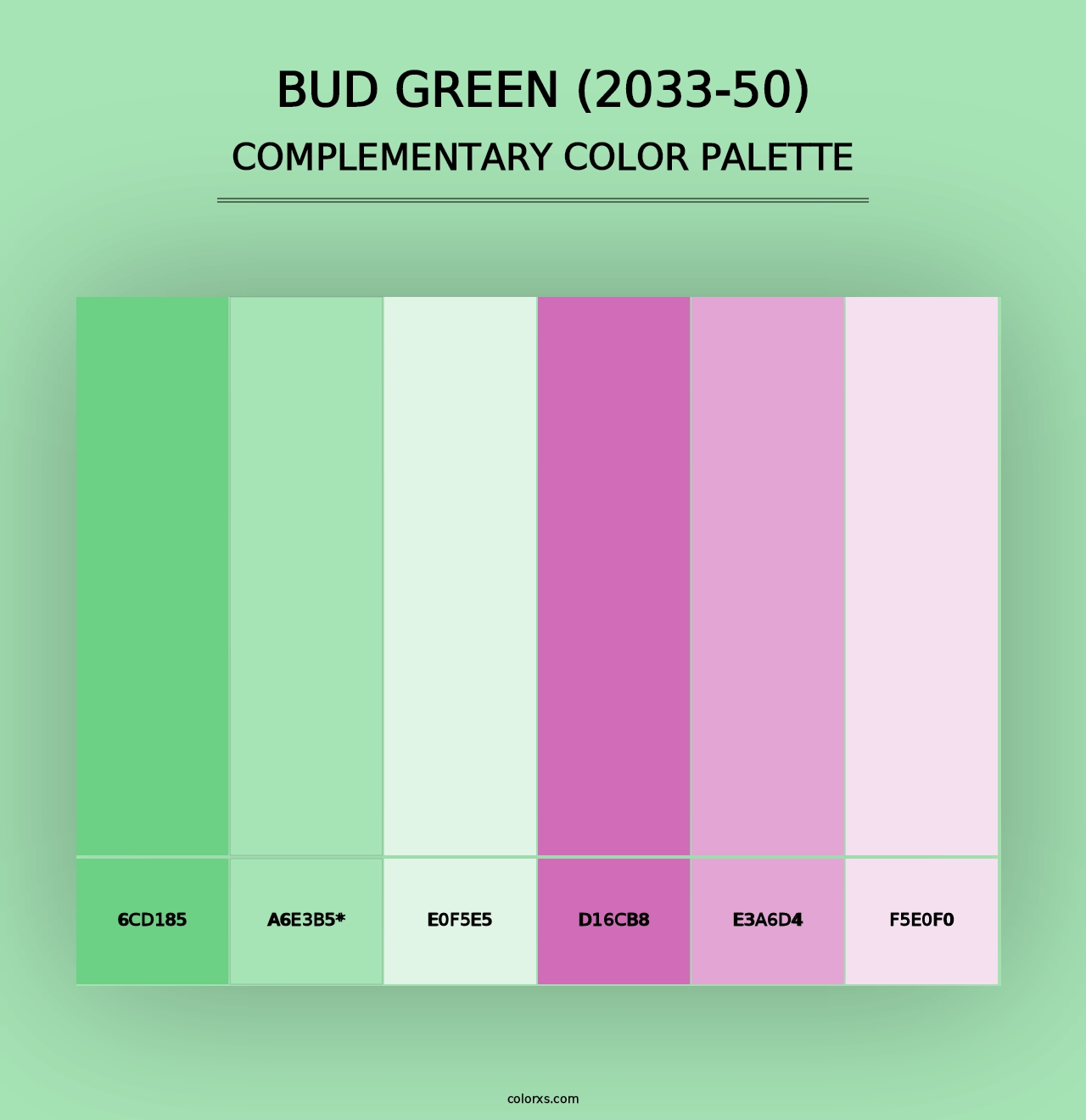 Bud Green (2033-50) - Complementary Color Palette