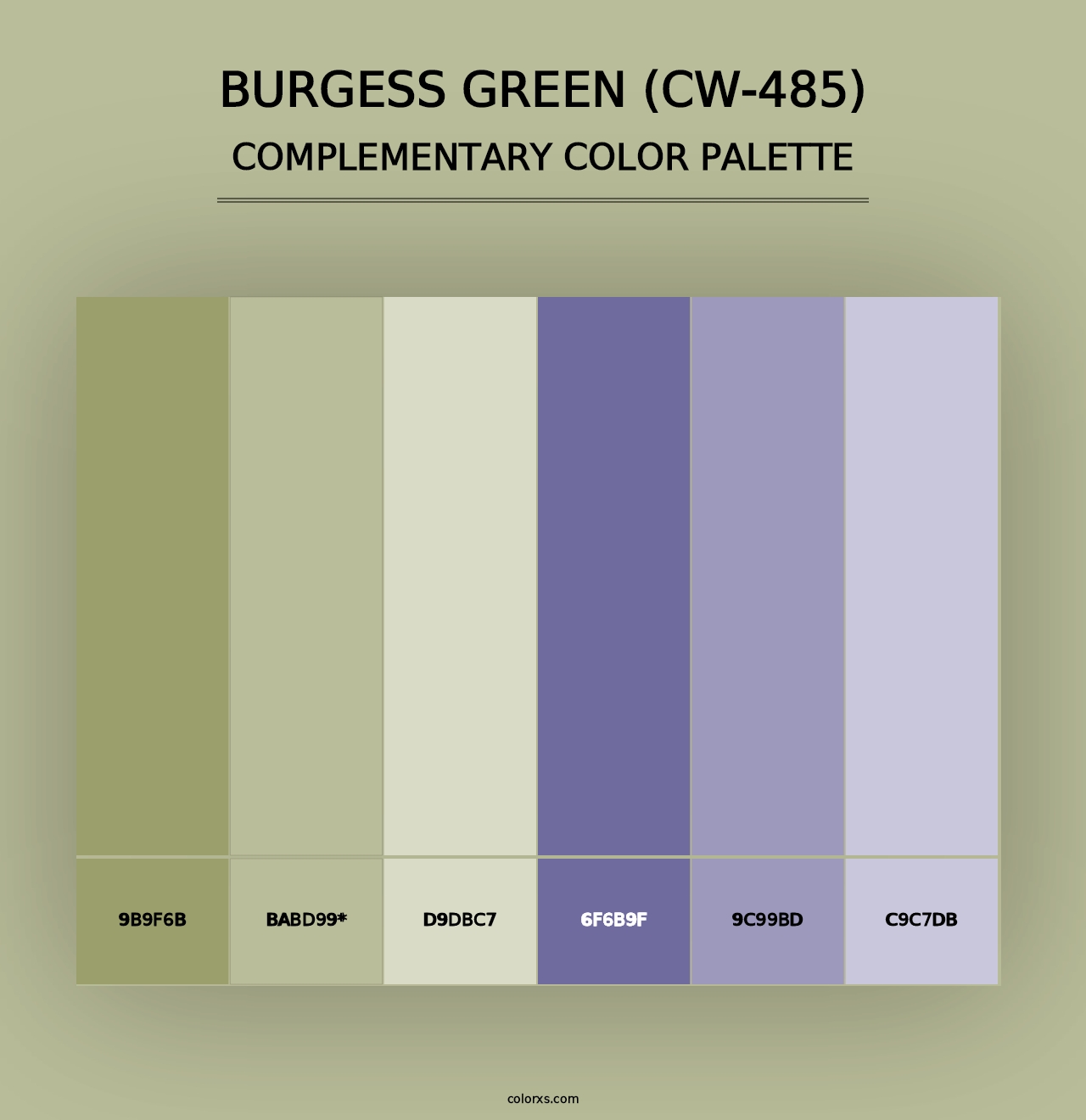 Burgess Green (CW-485) - Complementary Color Palette