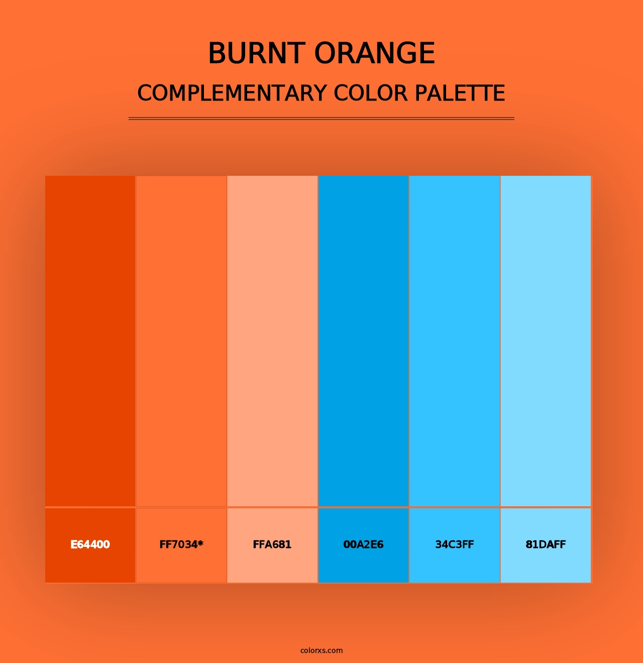 Burnt Orange - Complementary Color Palette