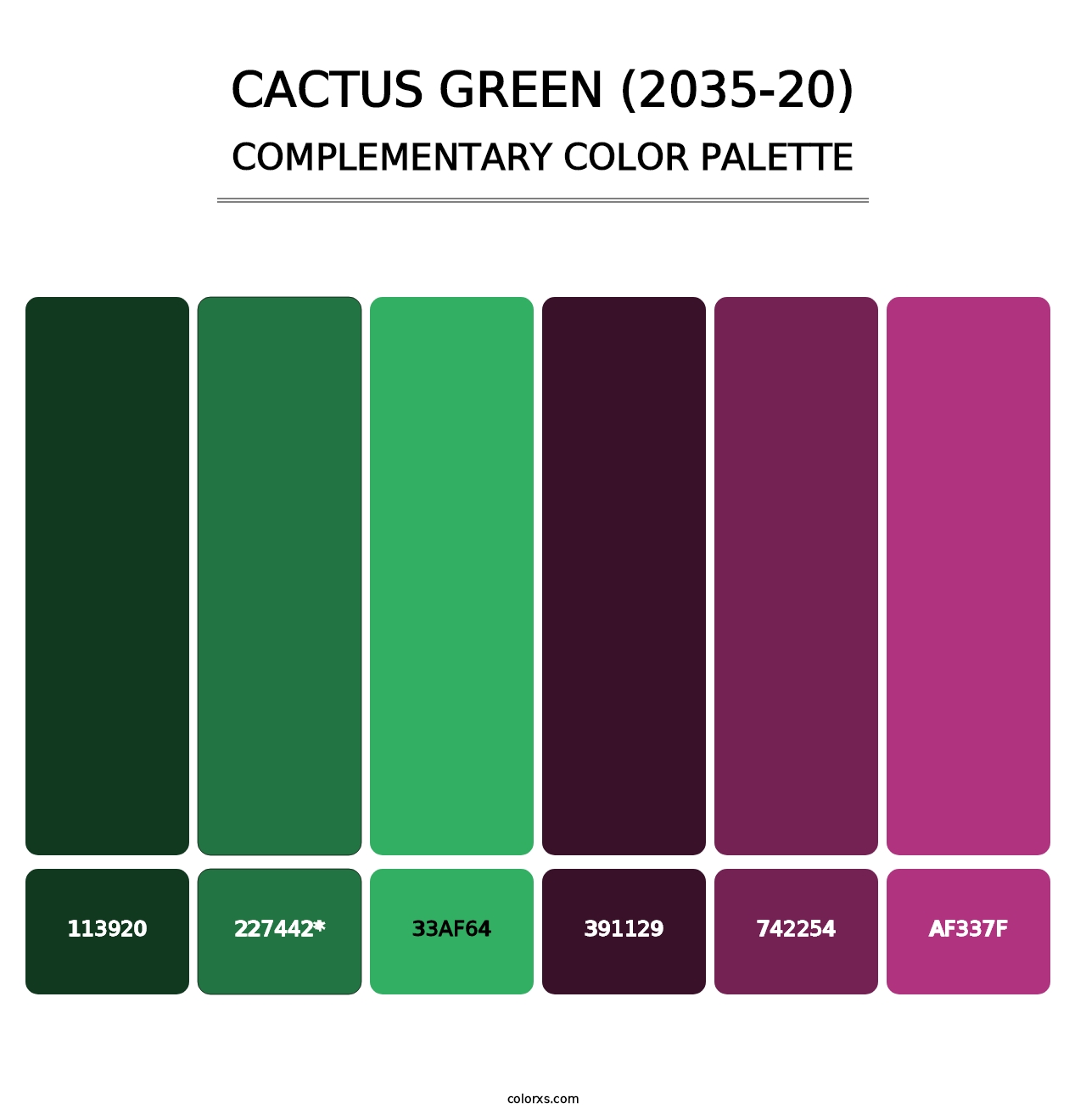 Cactus Green (2035-20) - Complementary Color Palette