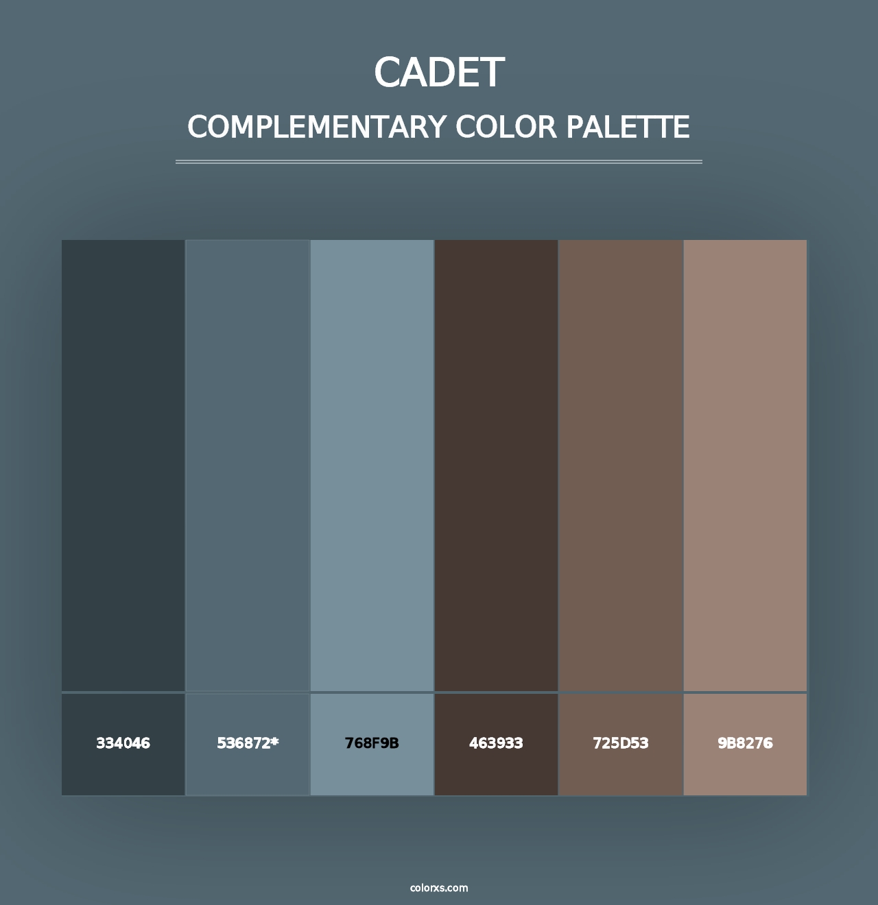 Cadet - Complementary Color Palette