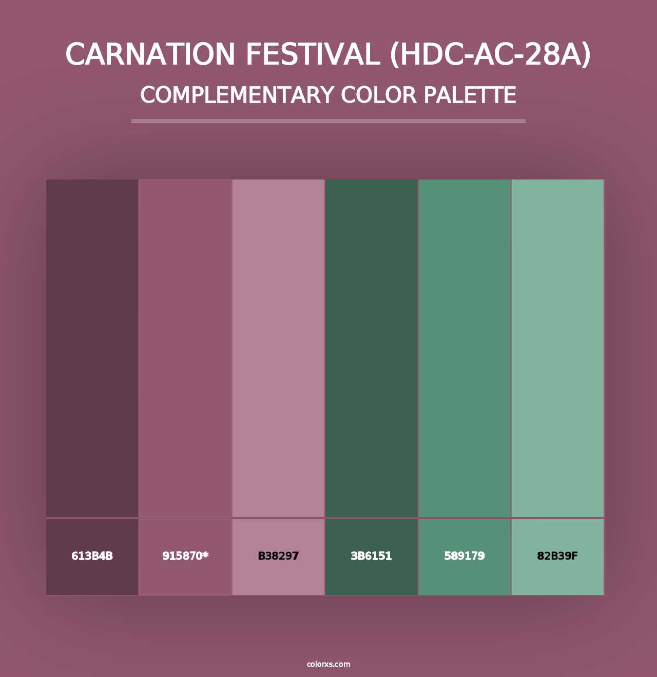 Carnation Festival (HDC-AC-28A) - Complementary Color Palette