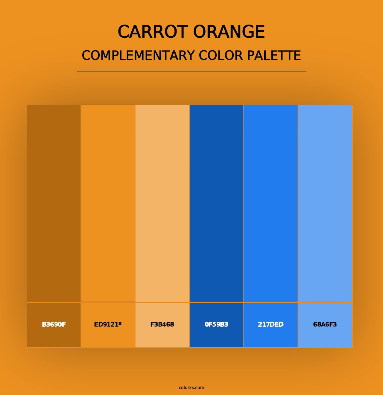 Carrot Orange - Complementary Color Palette