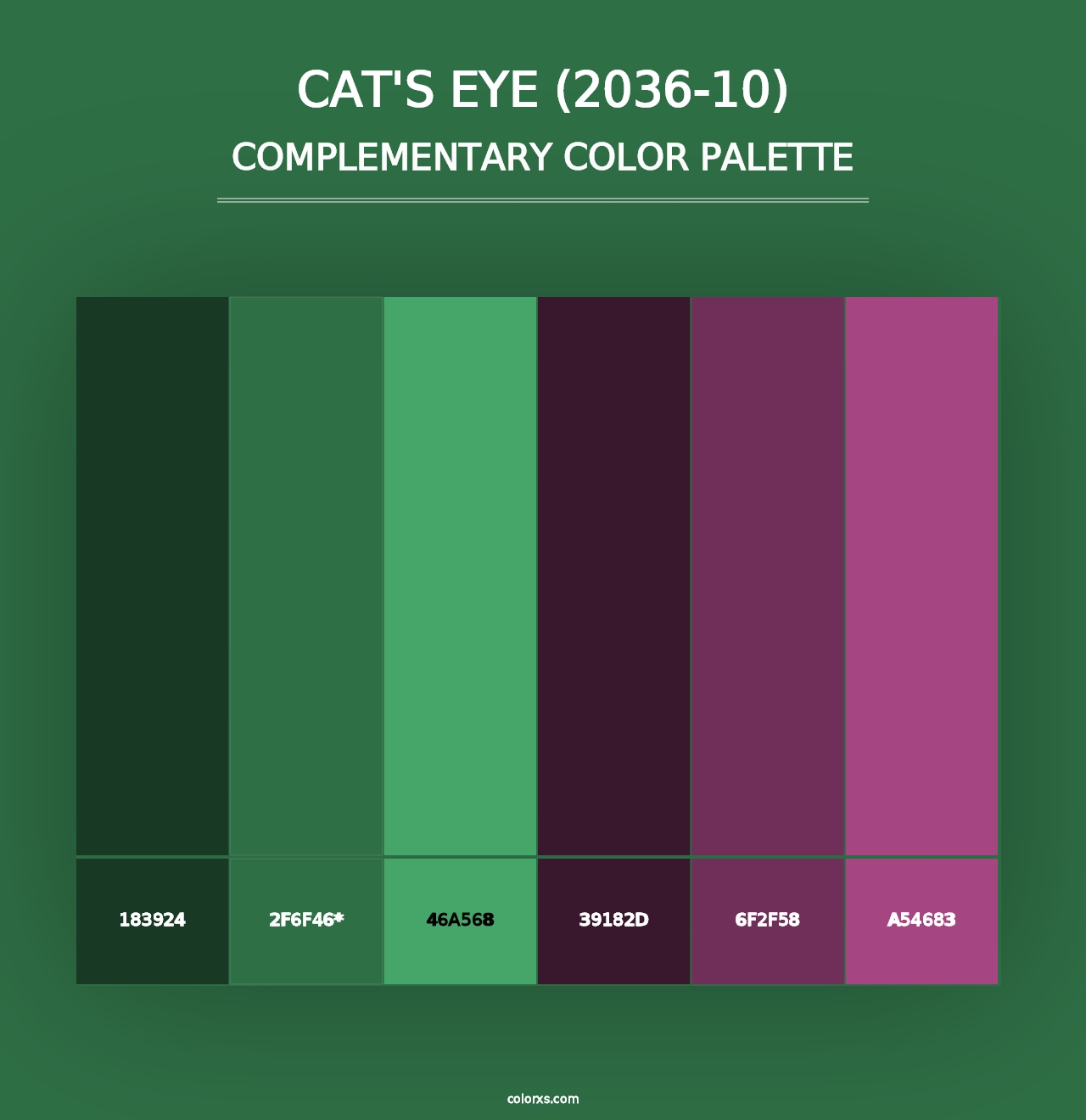 Cat's Eye (2036-10) - Complementary Color Palette