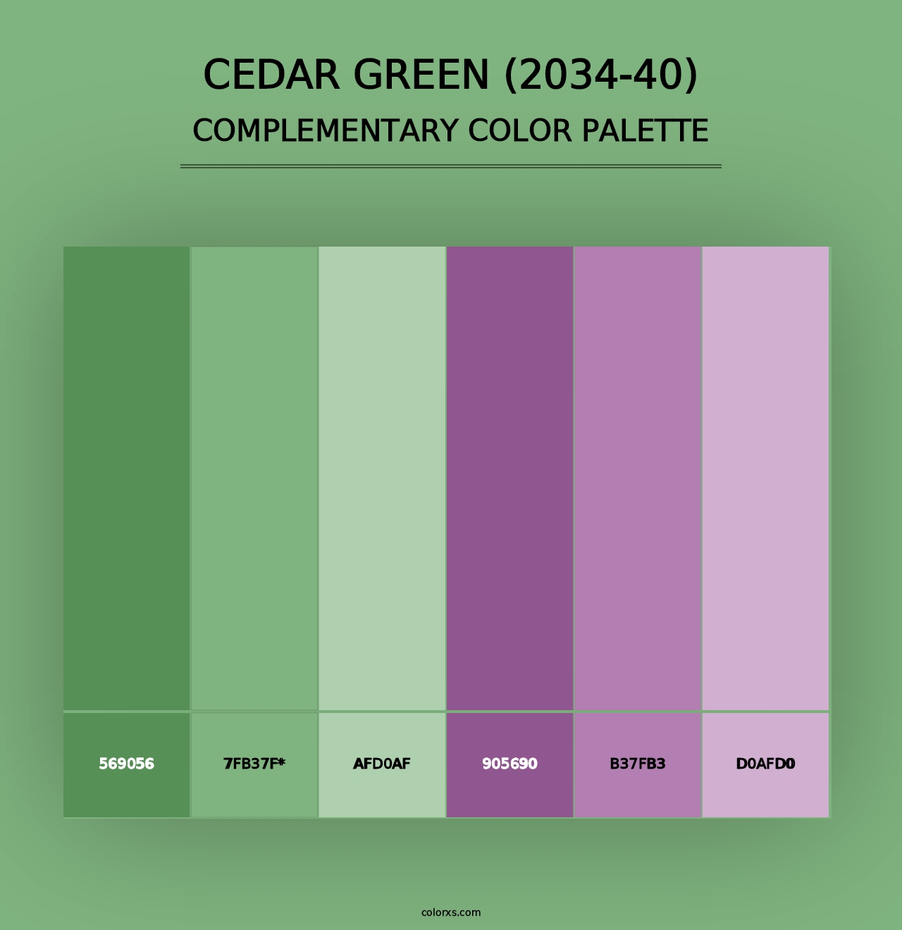 Cedar Green (2034-40) - Complementary Color Palette