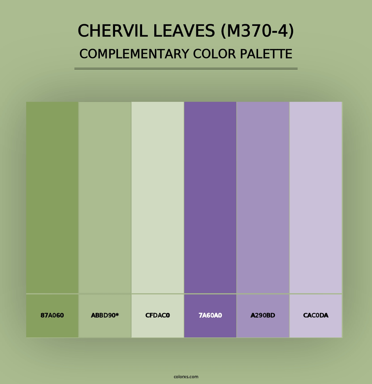 Chervil Leaves (M370-4) - Complementary Color Palette