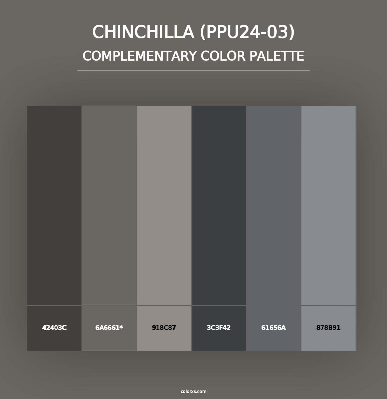 Chinchilla (PPU24-03) - Complementary Color Palette