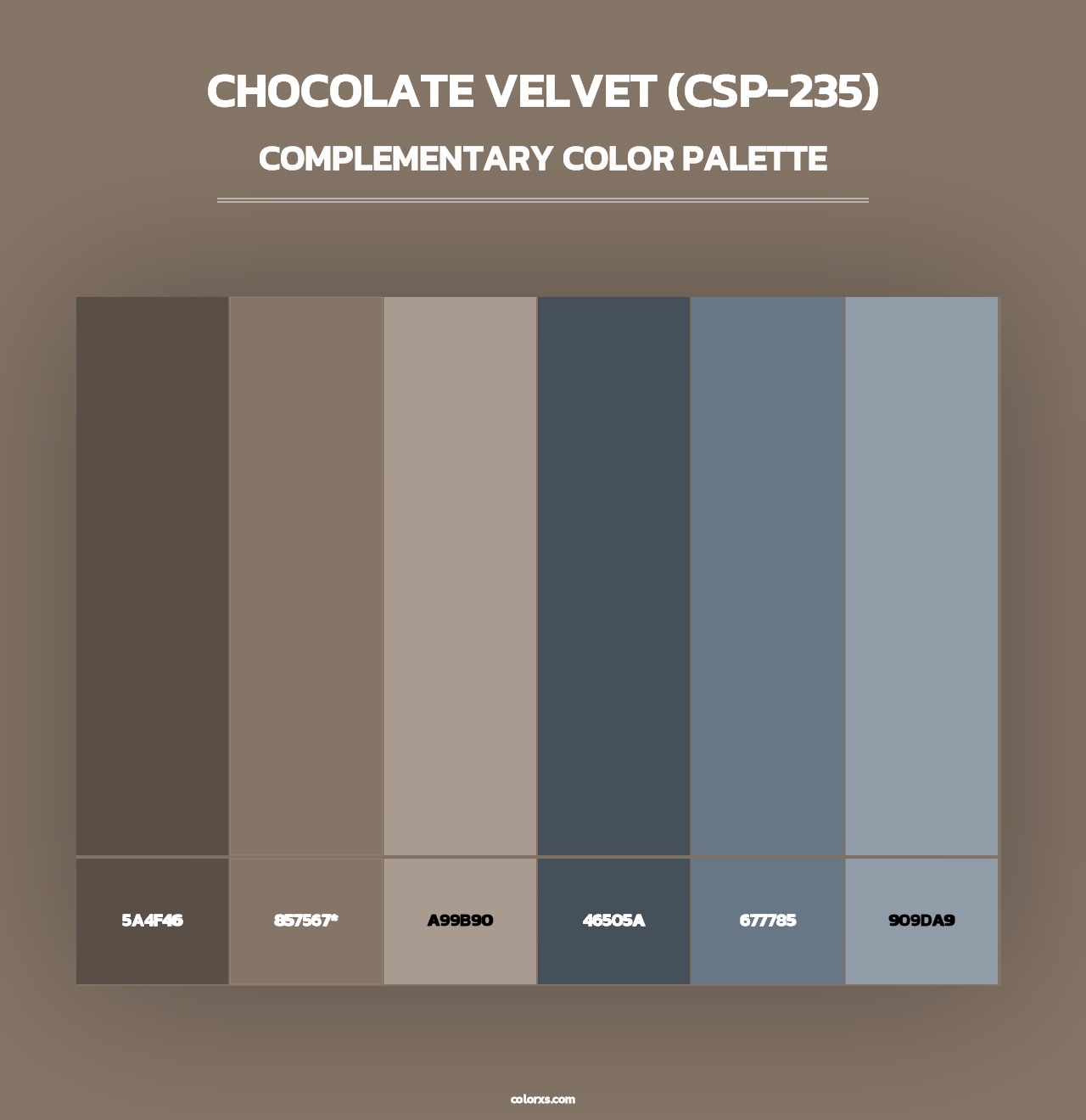 Chocolate Velvet (CSP-235) - Complementary Color Palette