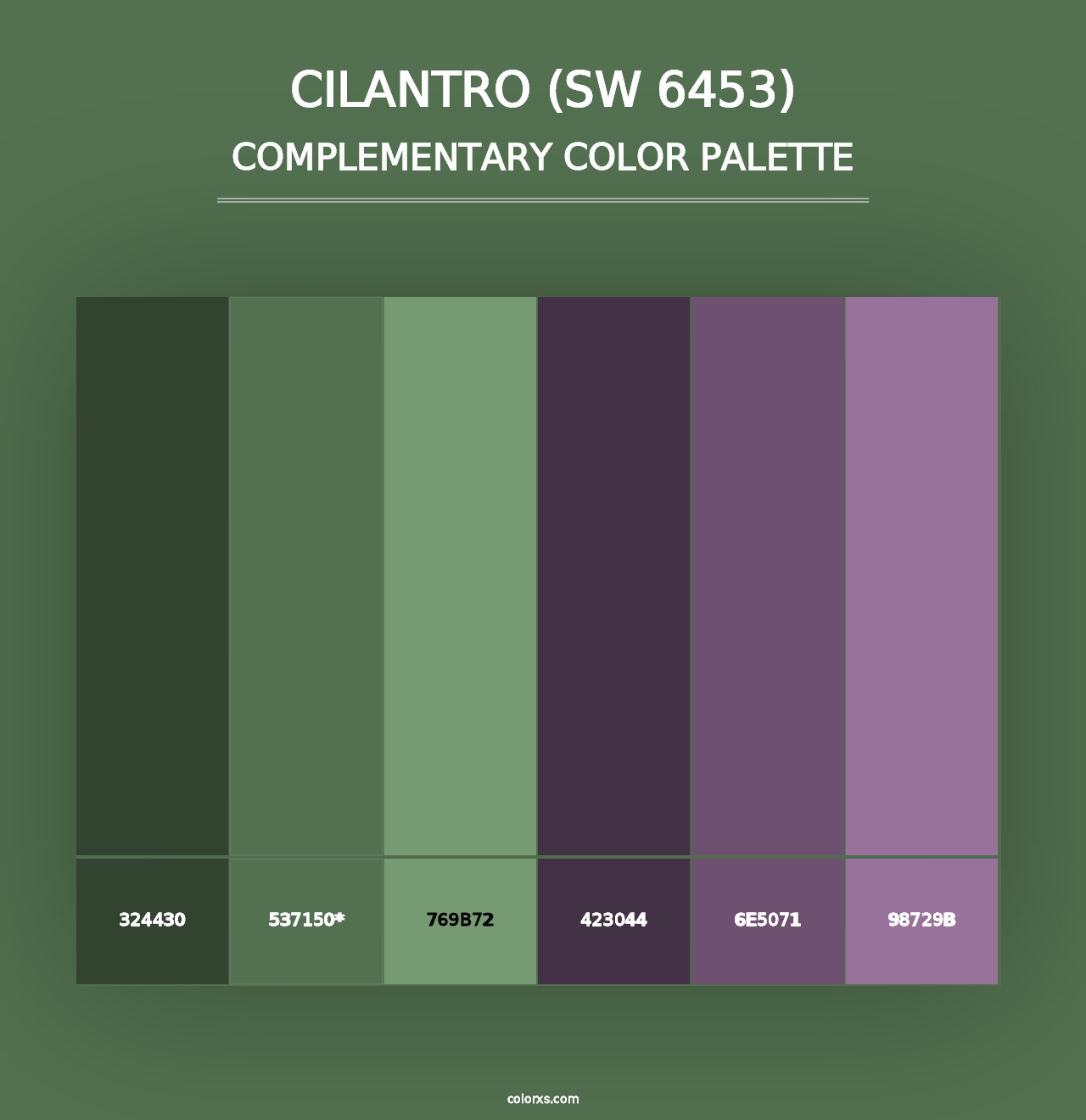 Cilantro (SW 6453) - Complementary Color Palette