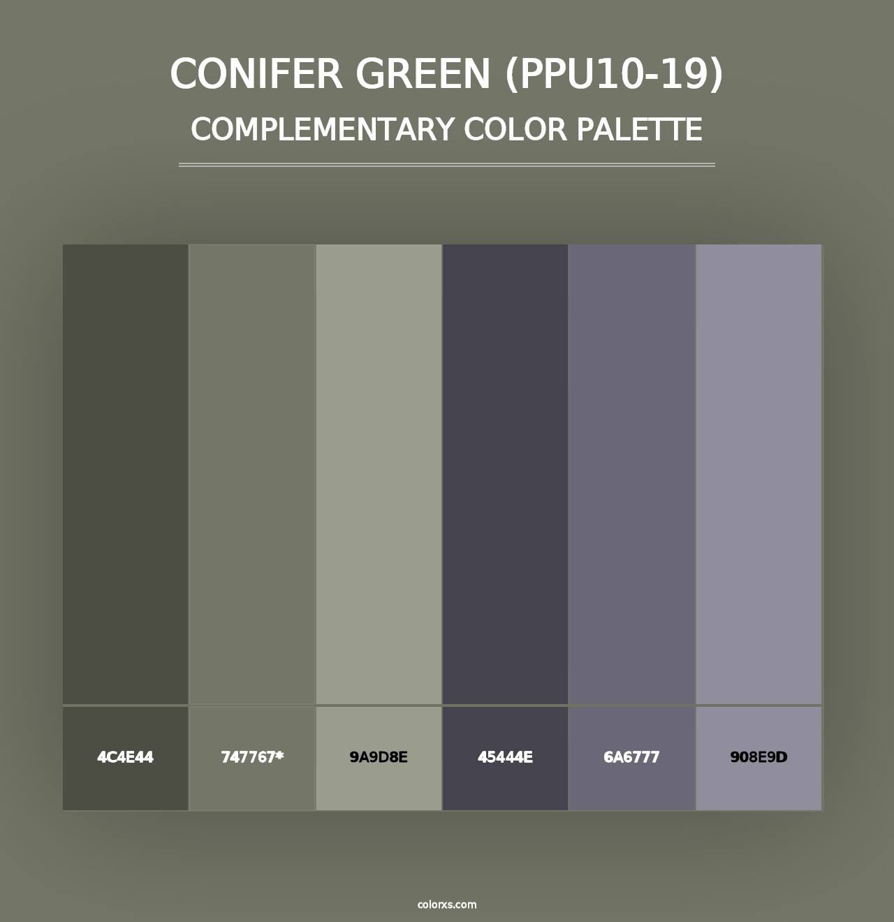 Conifer Green (PPU10-19) - Complementary Color Palette