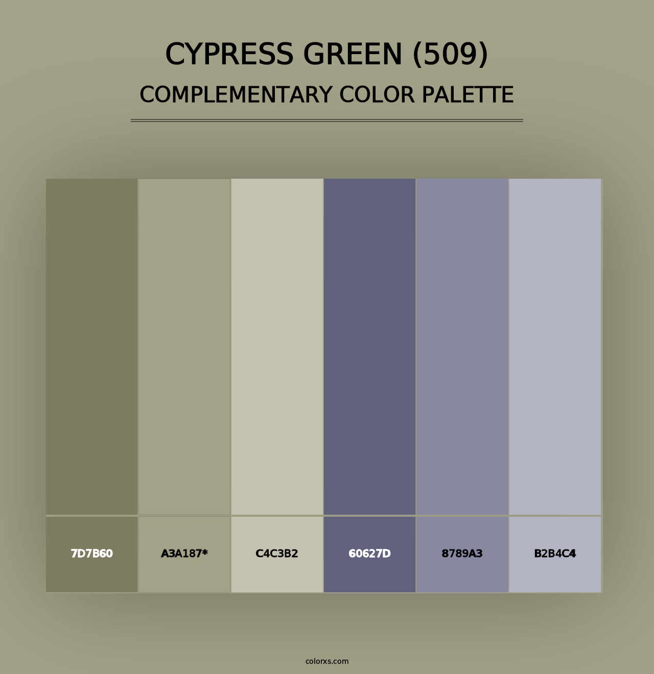 Cypress Green (509) - Complementary Color Palette