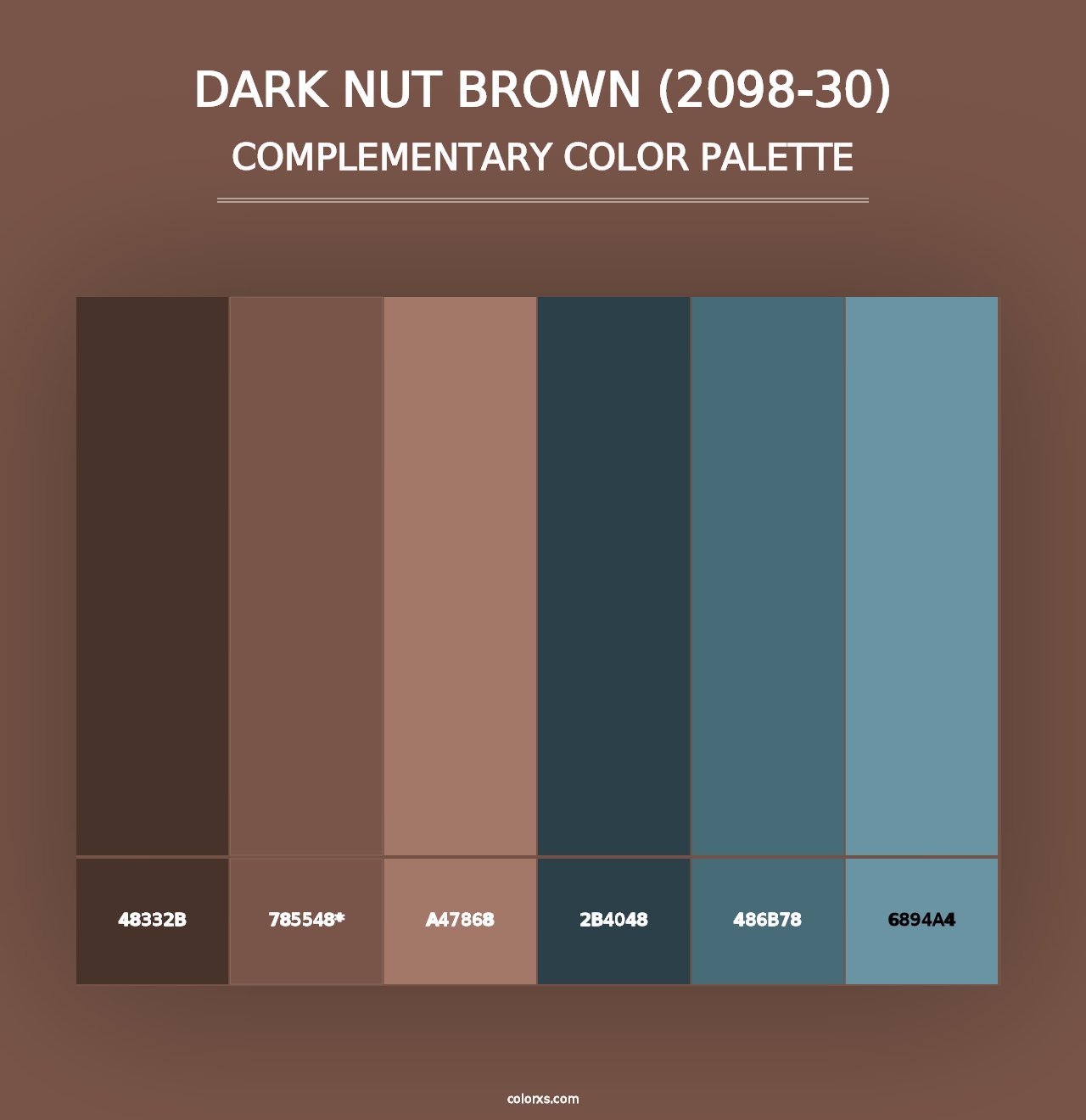 Dark Nut Brown (2098-30) - Complementary Color Palette