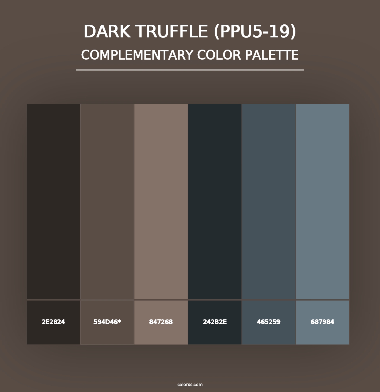 Dark Truffle (PPU5-19) - Complementary Color Palette