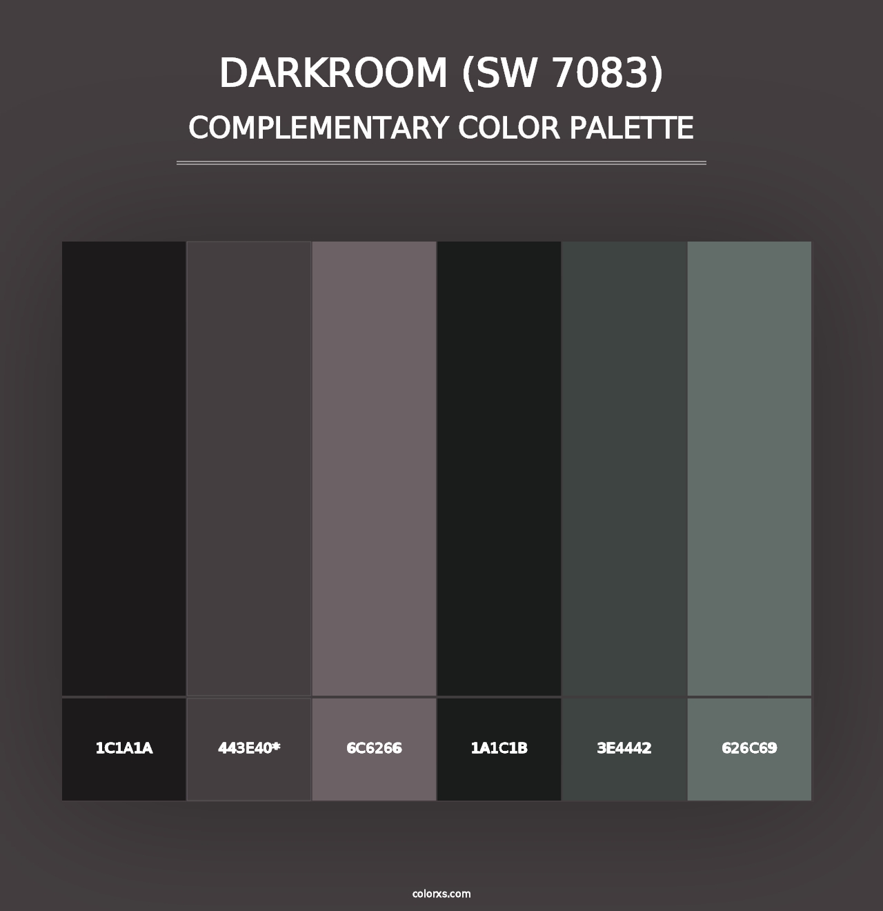 Darkroom (SW 7083) - Complementary Color Palette