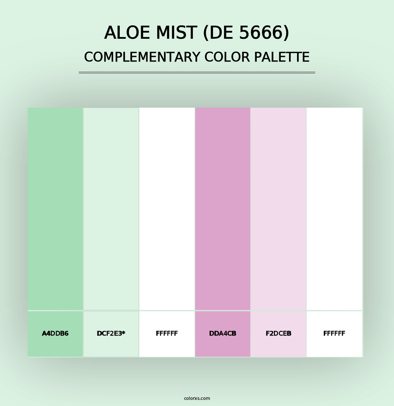 Aloe Mist (DE 5666) - Complementary Color Palette