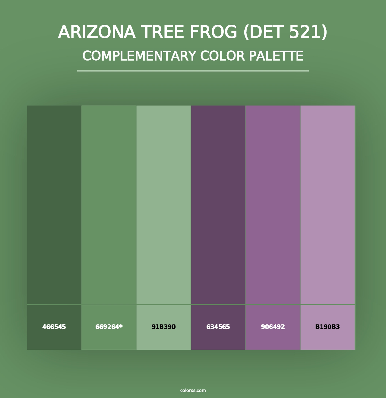 Arizona Tree Frog (DET 521) - Complementary Color Palette