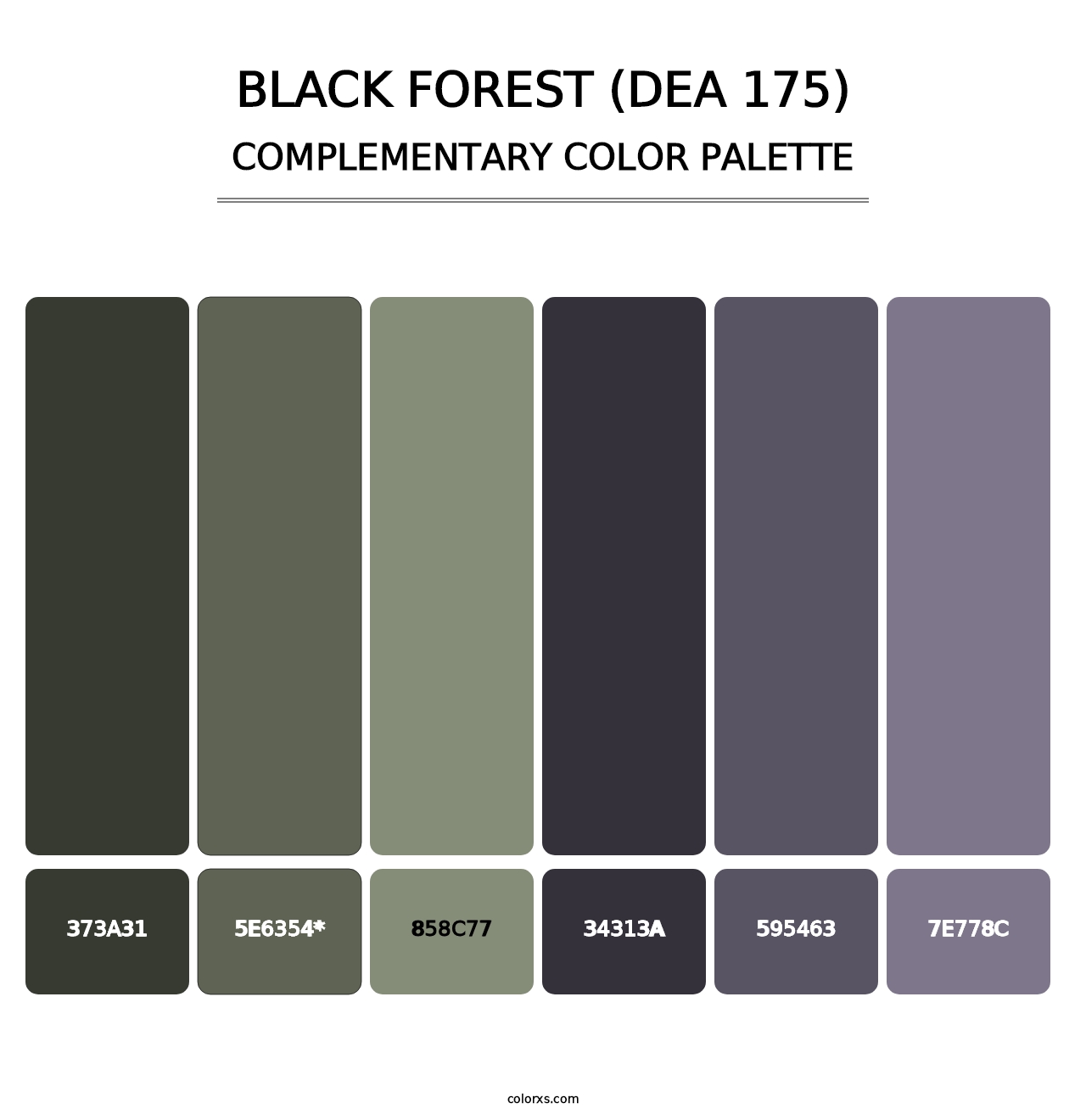 Black Forest (DEA 175) - Complementary Color Palette