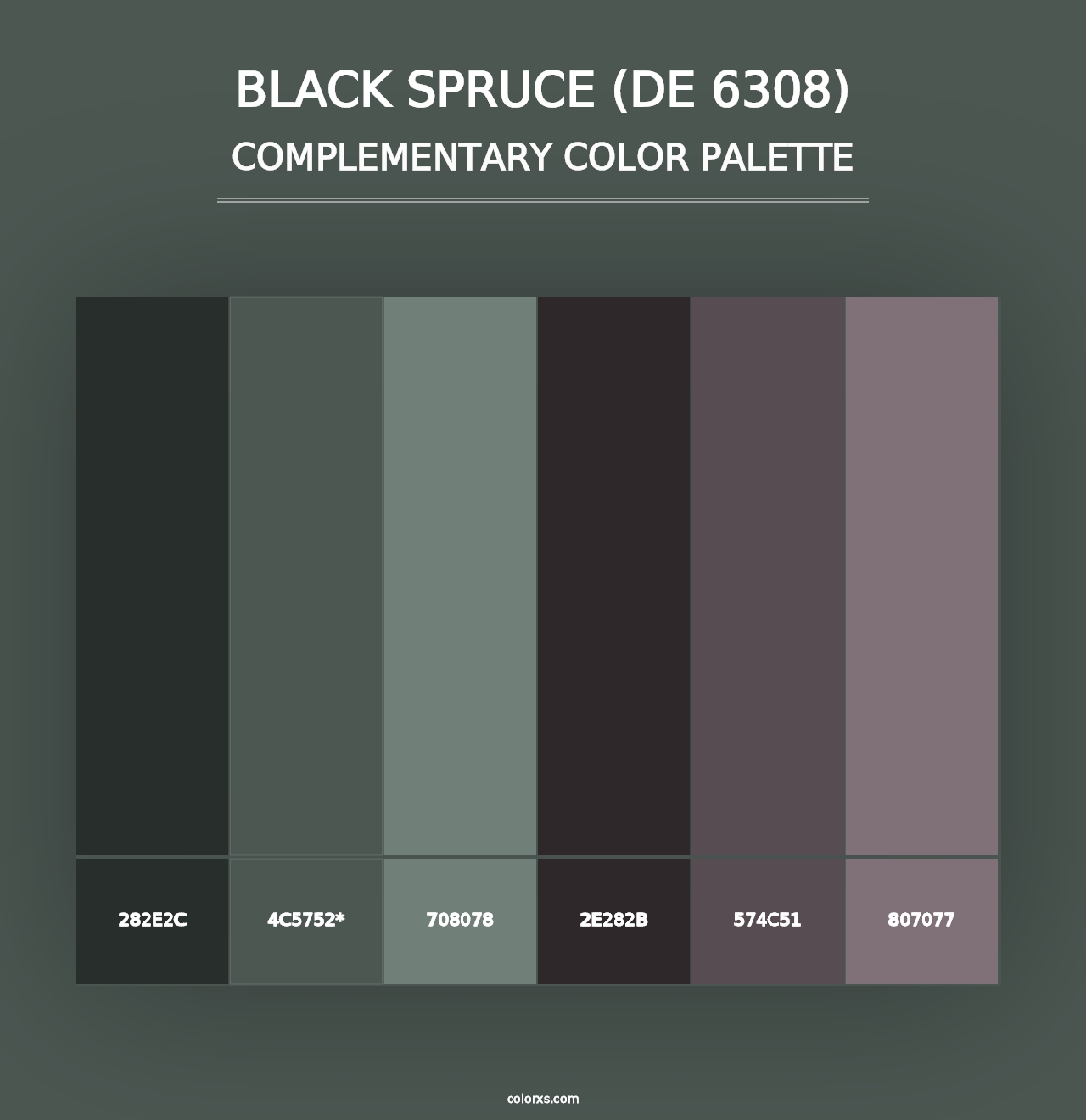 Black Spruce (DE 6308) - Complementary Color Palette