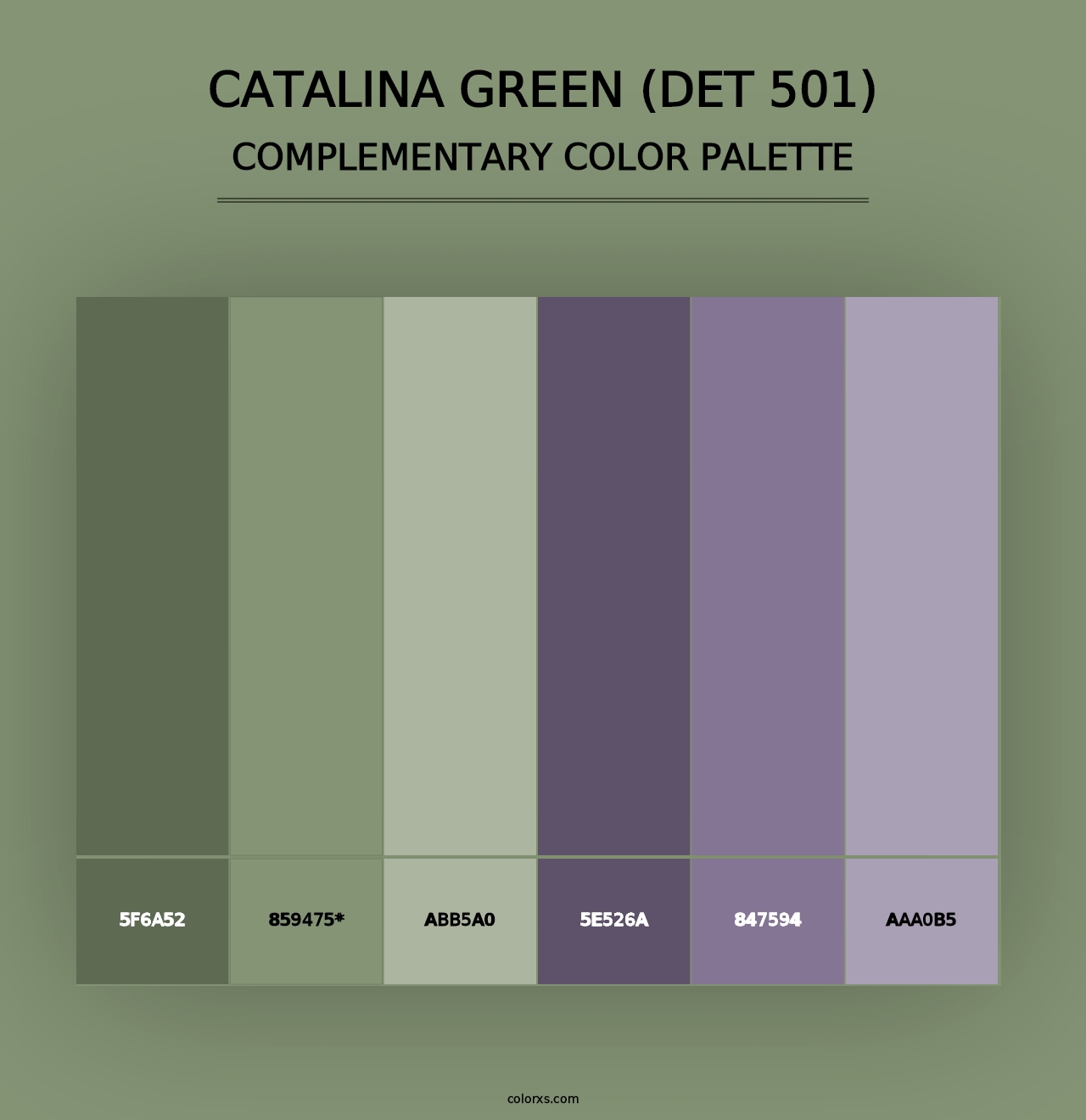 Catalina Green (DET 501) - Complementary Color Palette