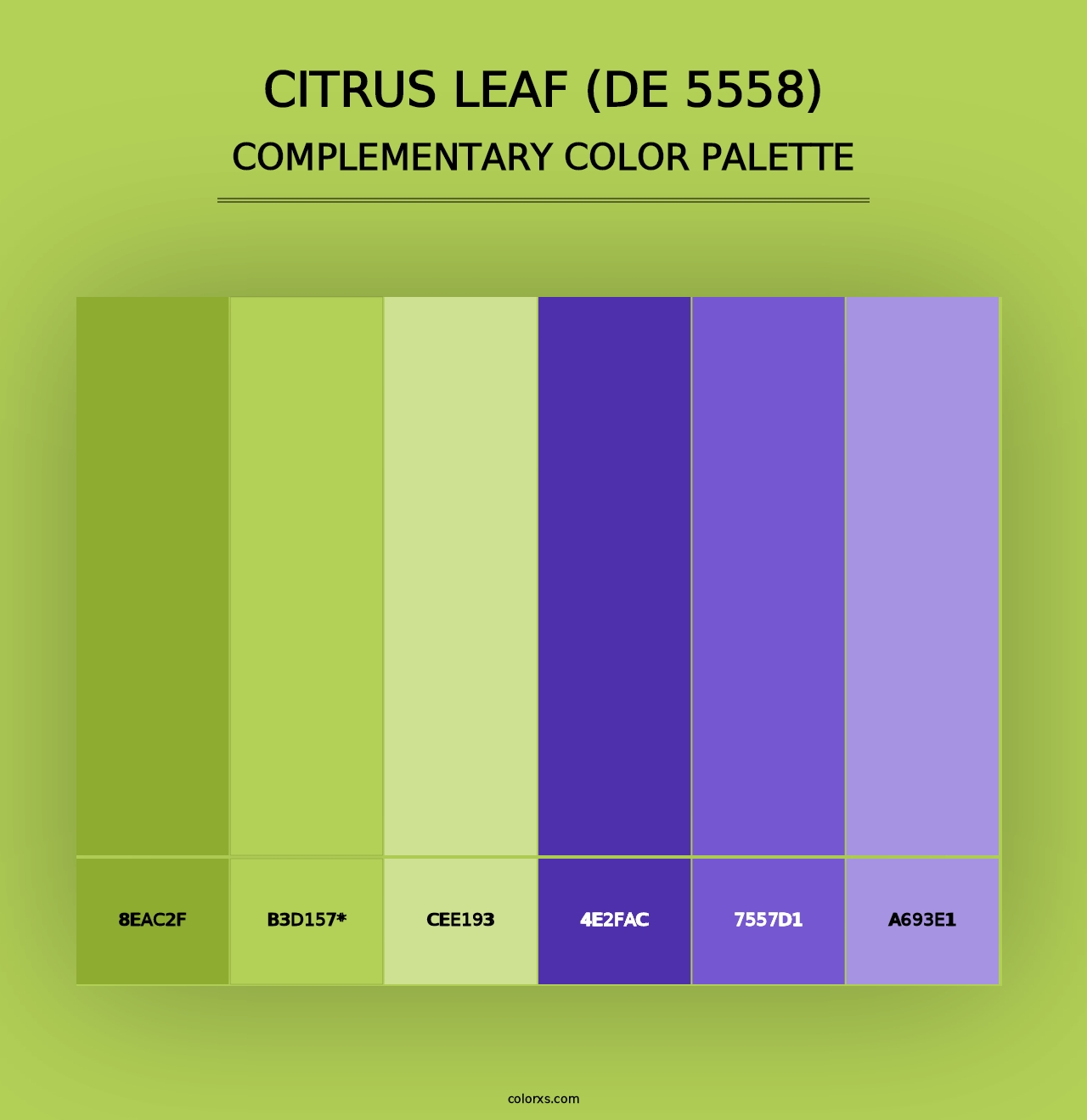 Citrus Leaf (DE 5558) - Complementary Color Palette