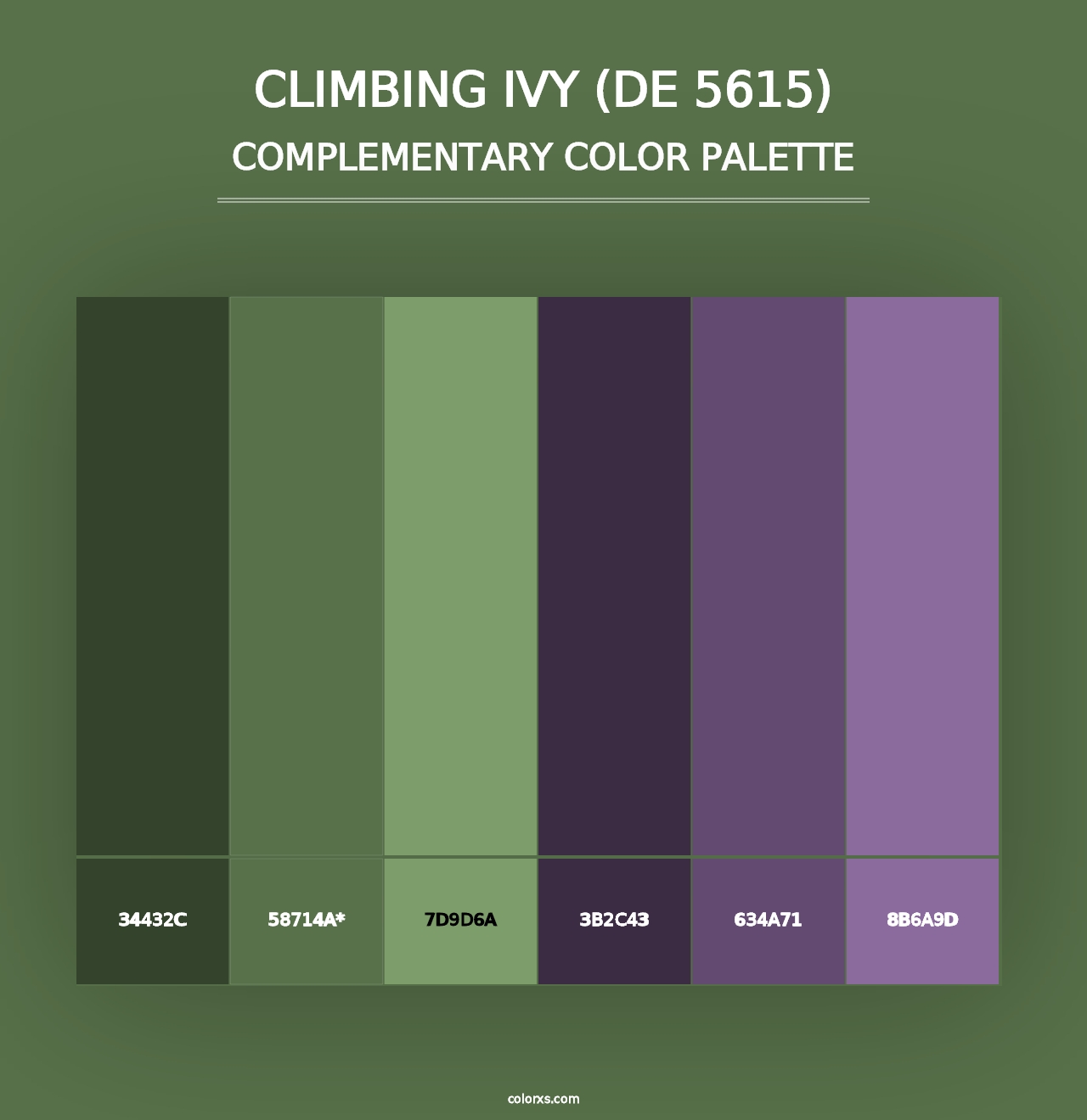 Climbing Ivy (DE 5615) - Complementary Color Palette