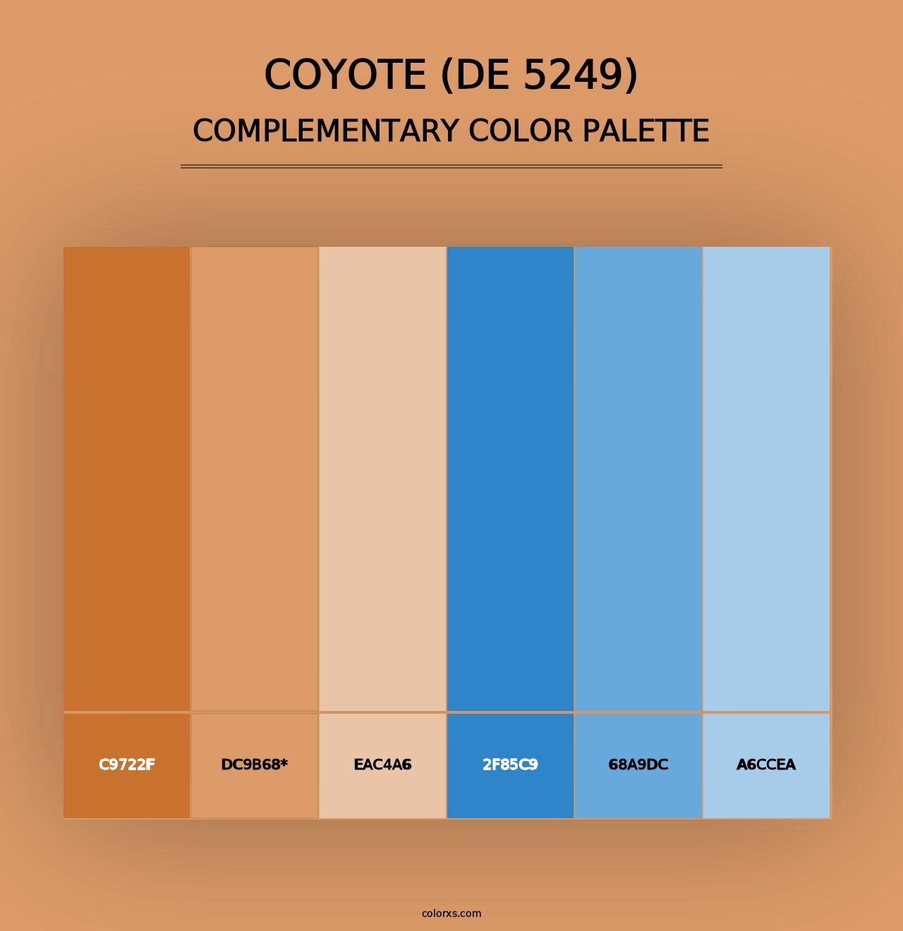 Coyote (DE 5249) - Complementary Color Palette