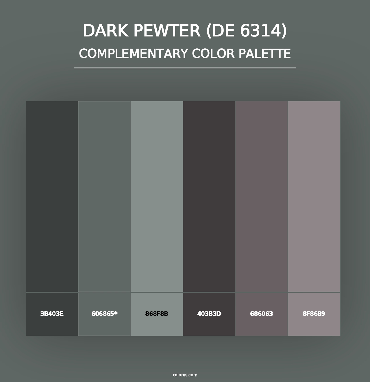 Dark Pewter (DE 6314) - Complementary Color Palette