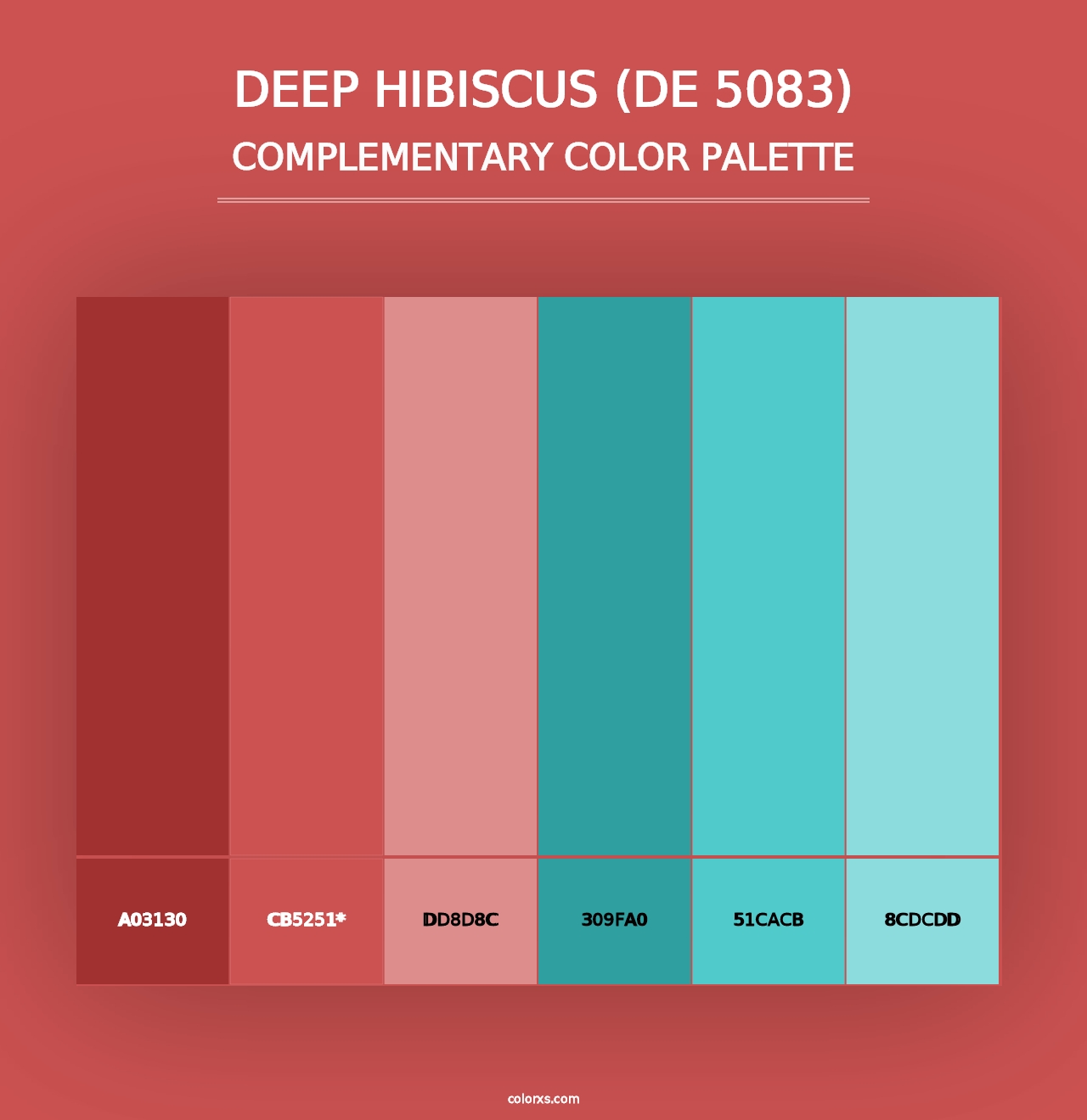 Deep Hibiscus (DE 5083) - Complementary Color Palette