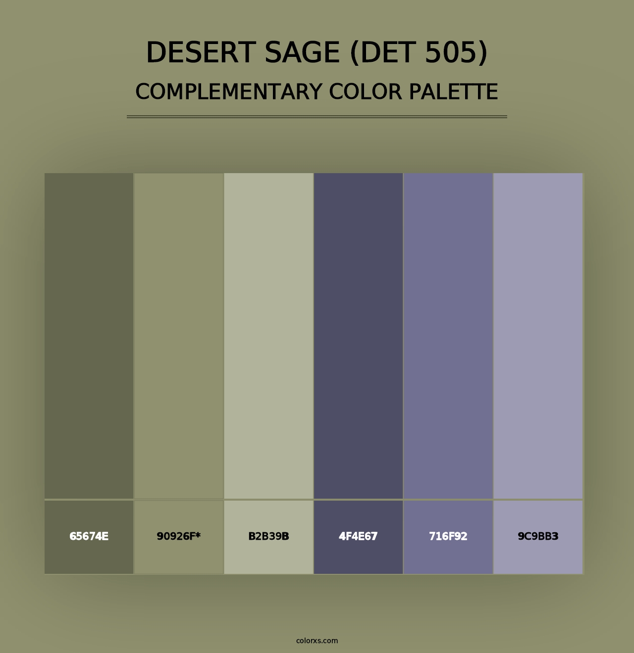 Desert Sage (DET 505) - Complementary Color Palette